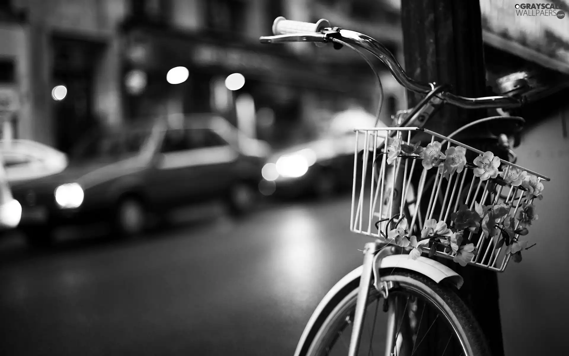 Bike, Town, Street, Flowers