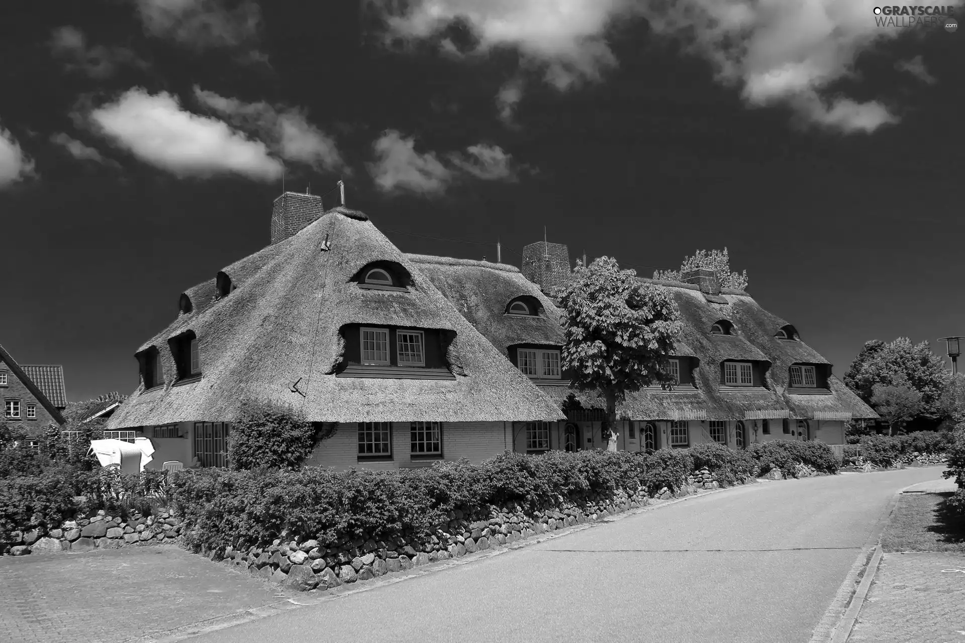 house, hedge, Street, trees