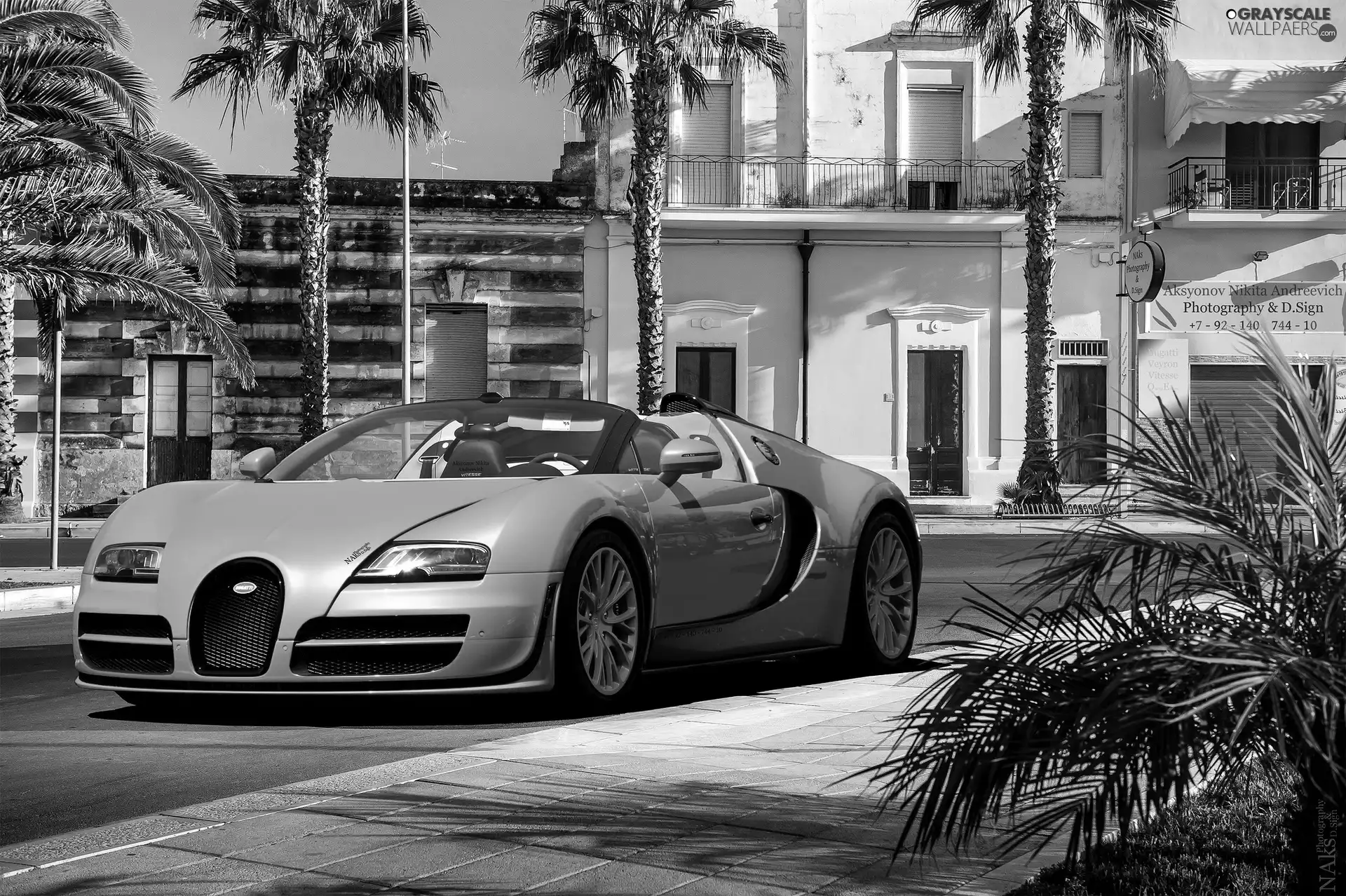 Palms, Bugatti Veyron Vitesse, Street