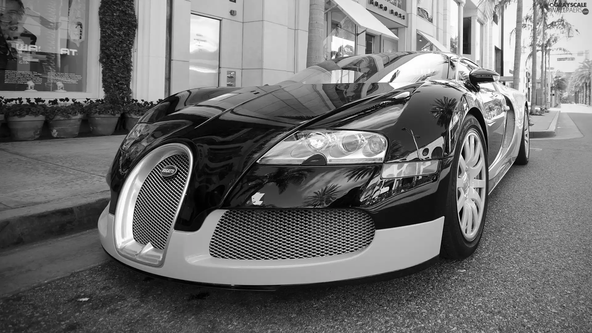 Street, Bugatti, Veyron