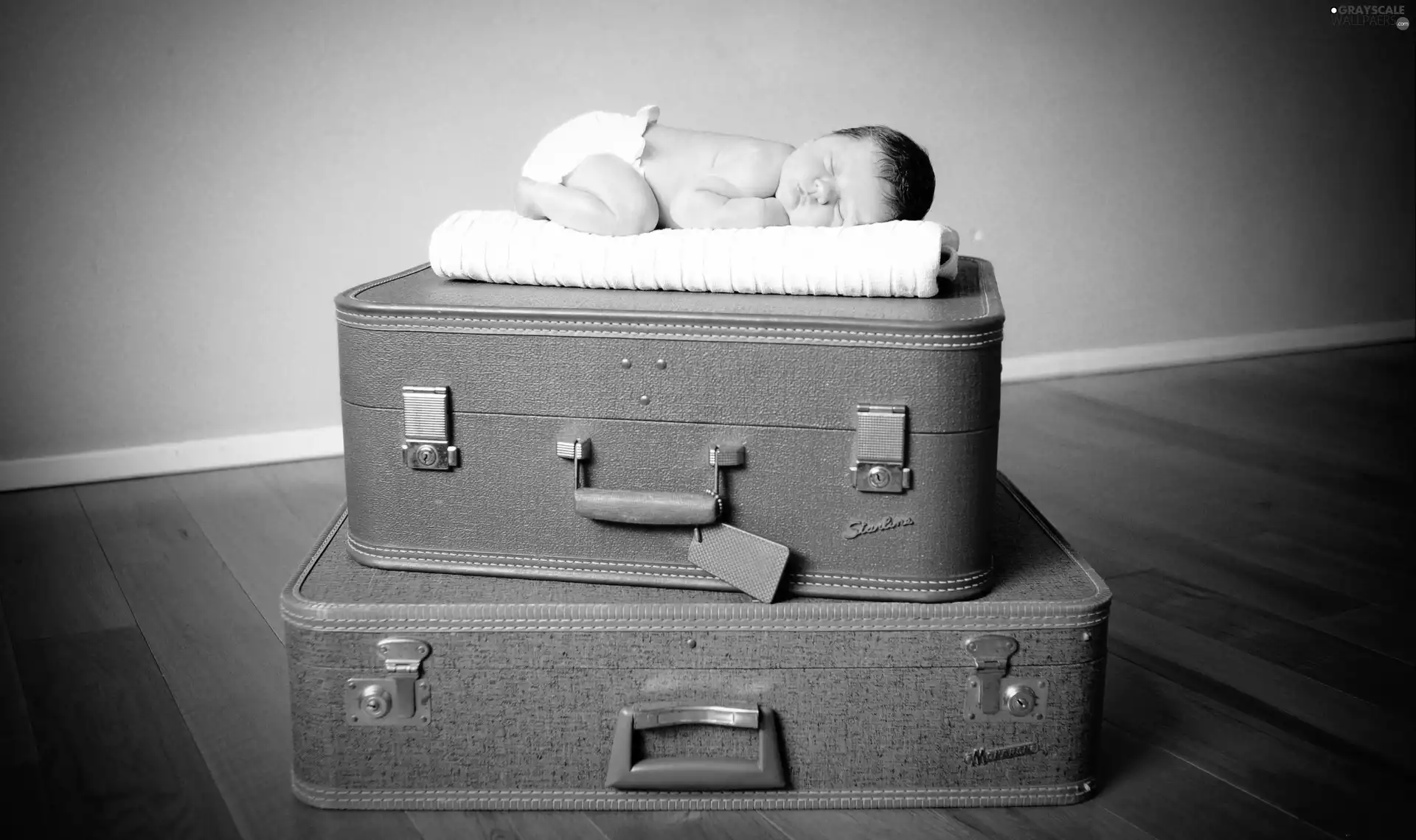 suitcase, sleeping, babe