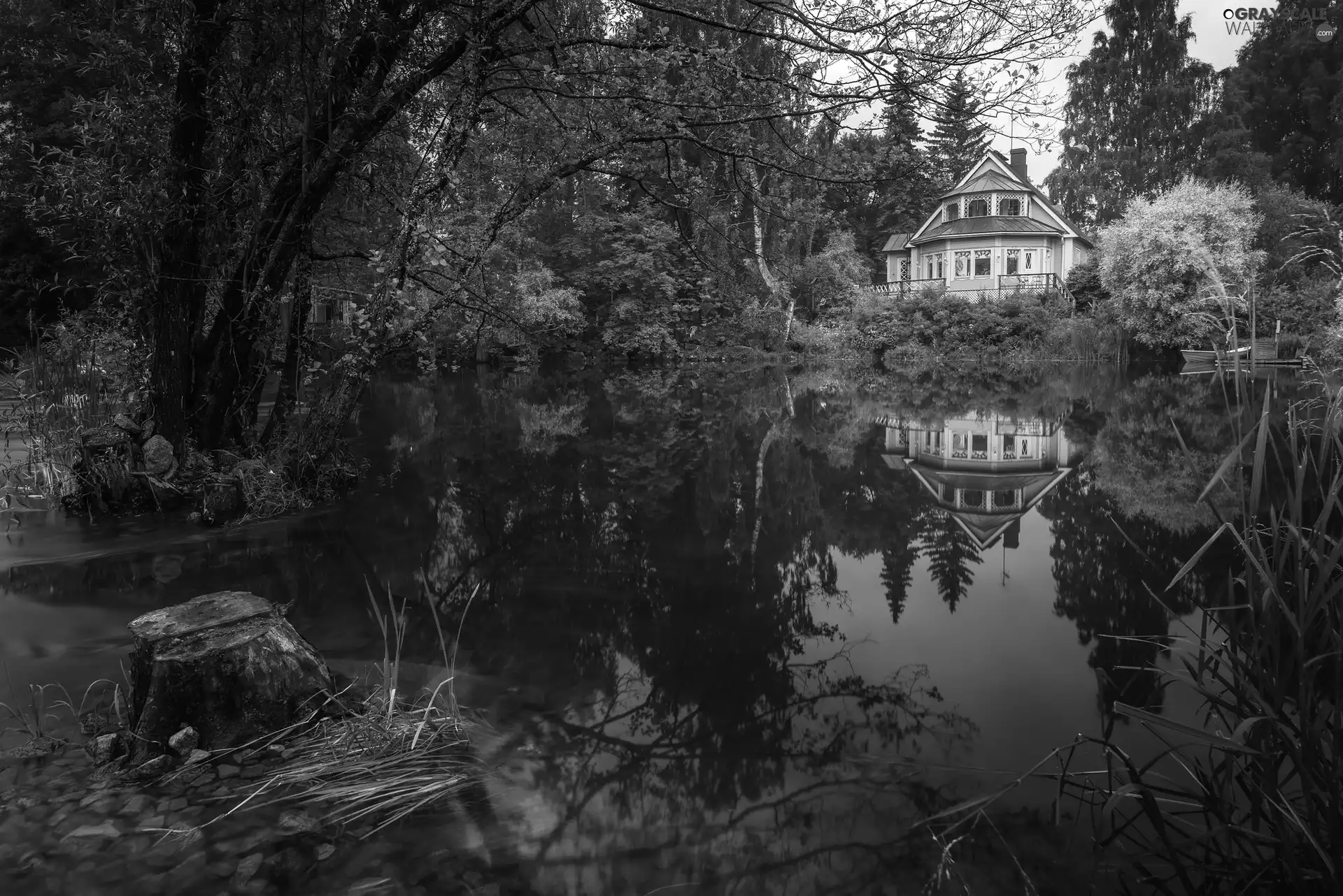 River, Yellow, viewes, summer, trees, house