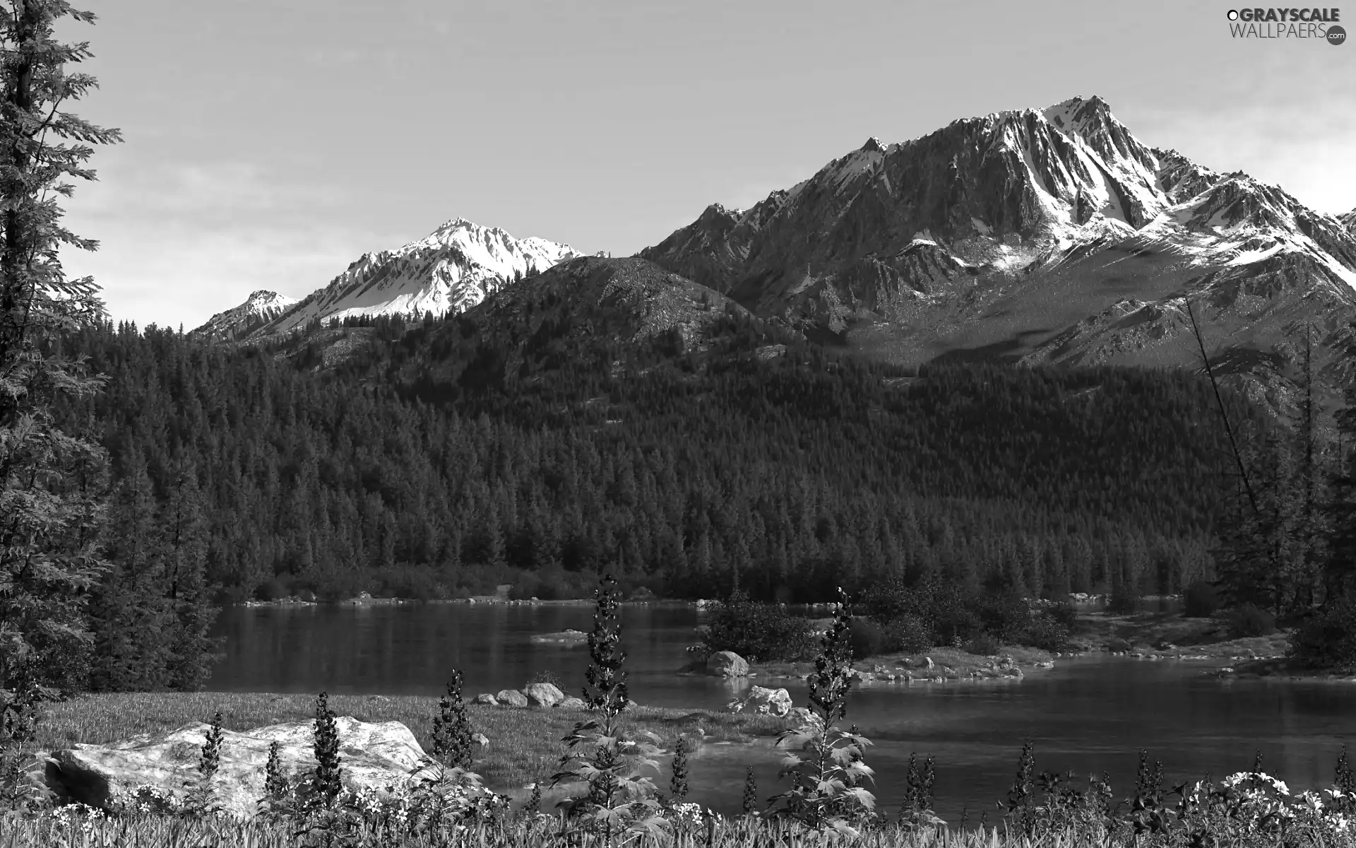 Mountains, River, summer, woods