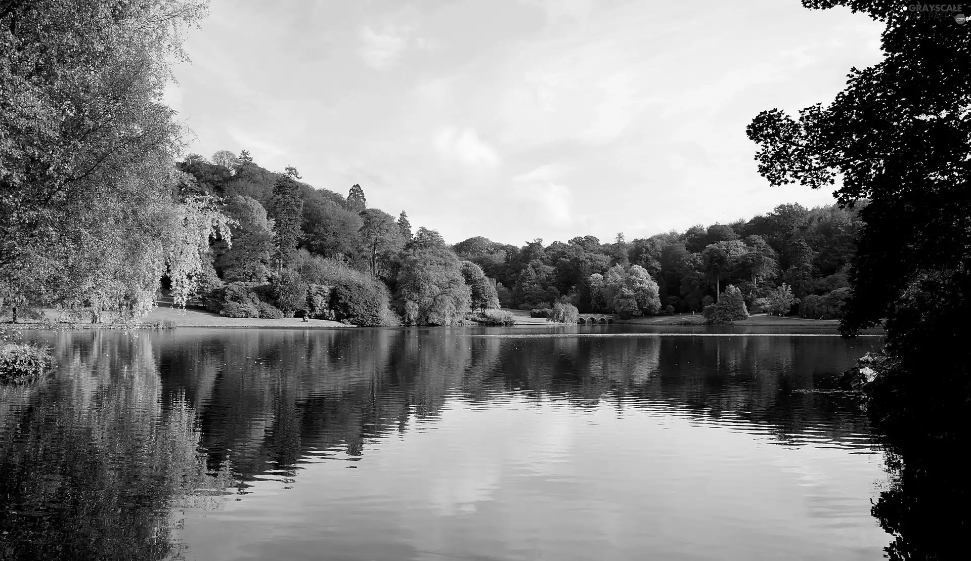 Park, bridges, summer, lake