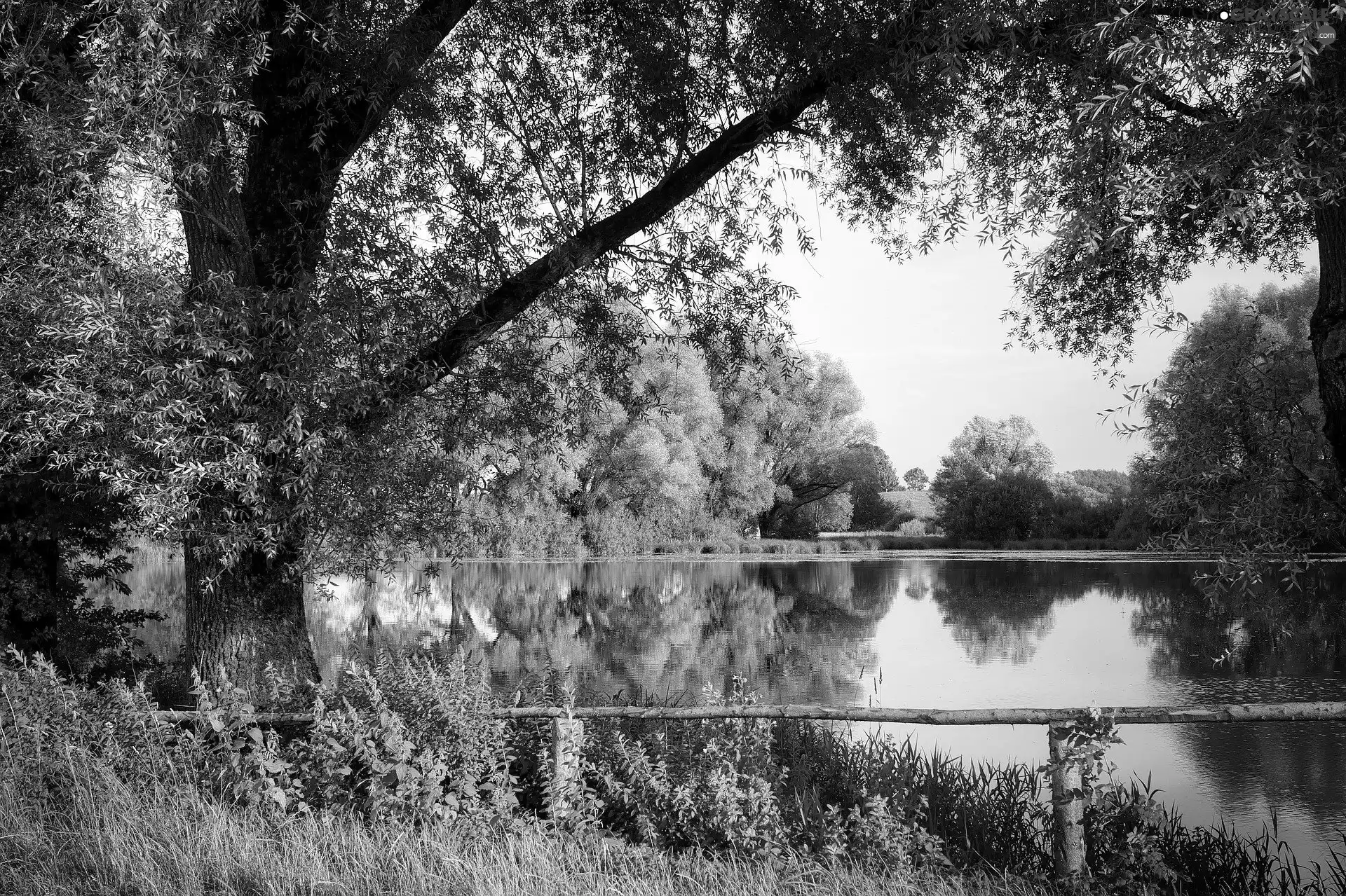 viewes, lake, fence, summer, VEGETATION, trees