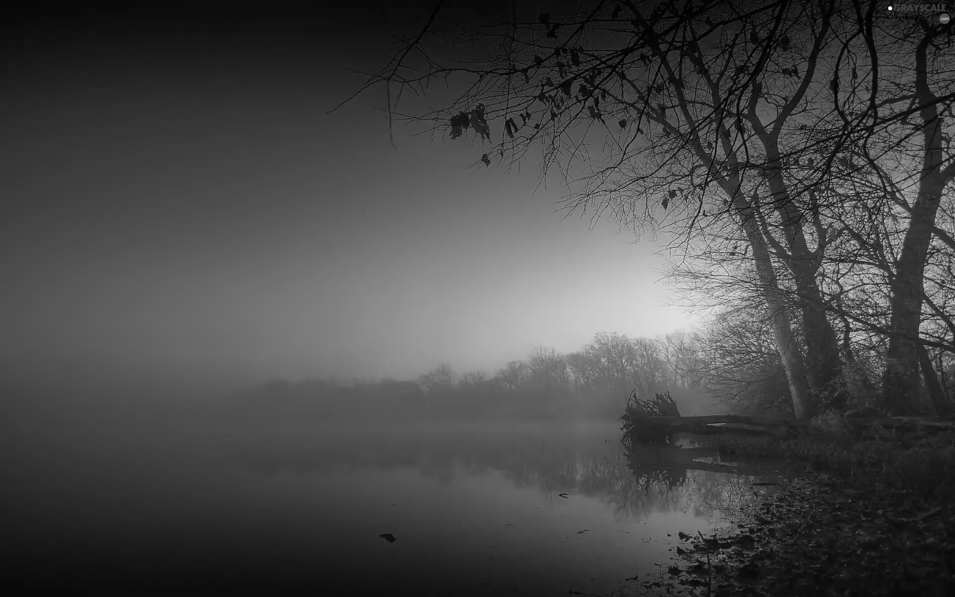 Fog, lake, sun, autumn, east, forest