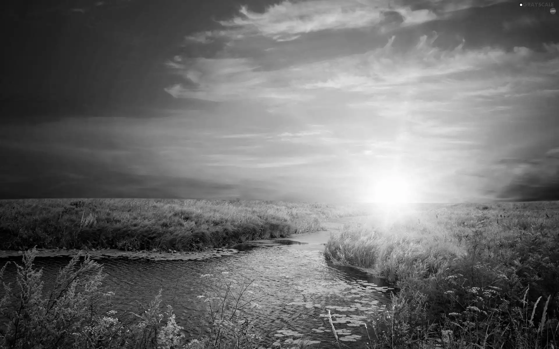 brook, Sky, sun, grass
