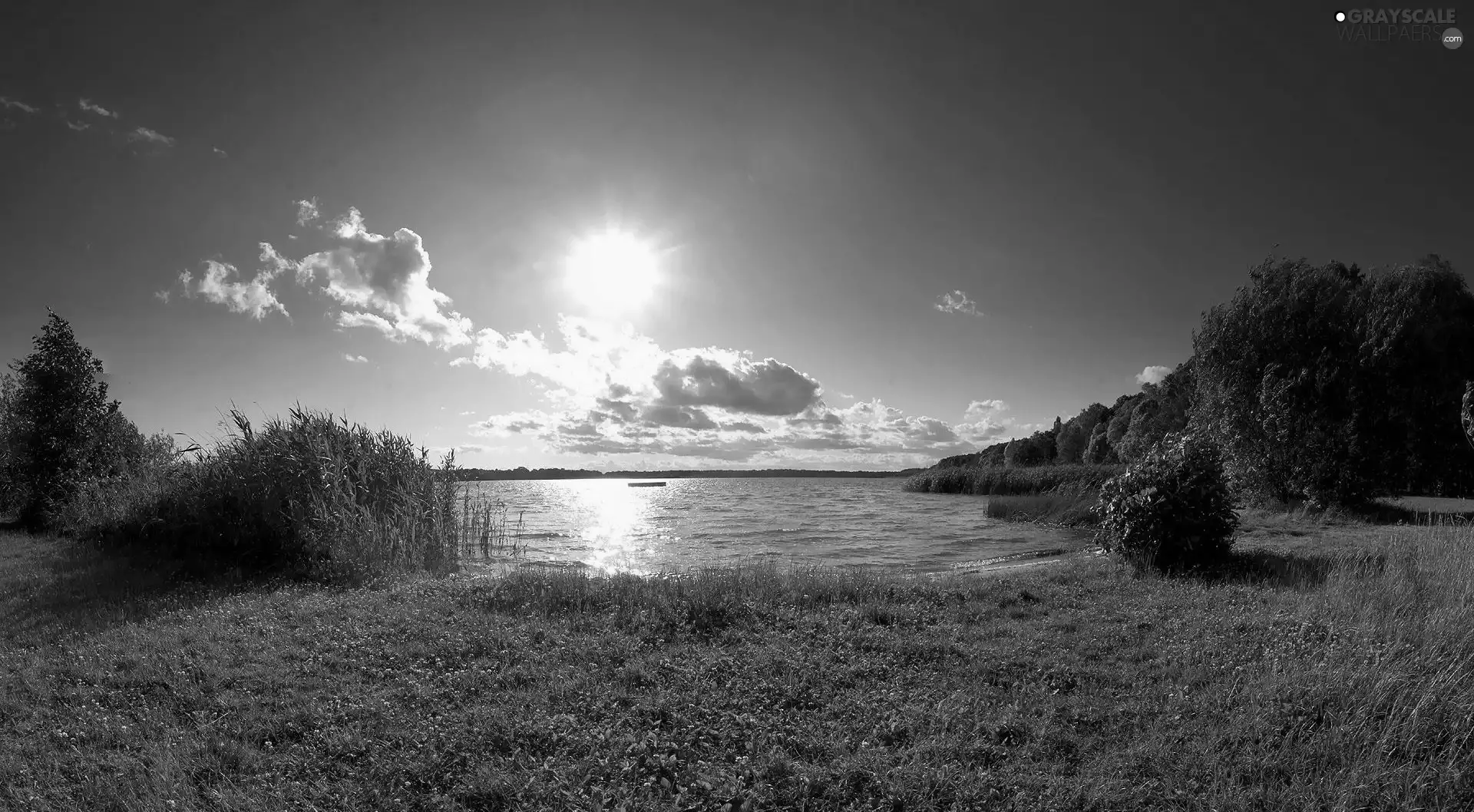 viewes, lake, sun, clouds, grass, trees