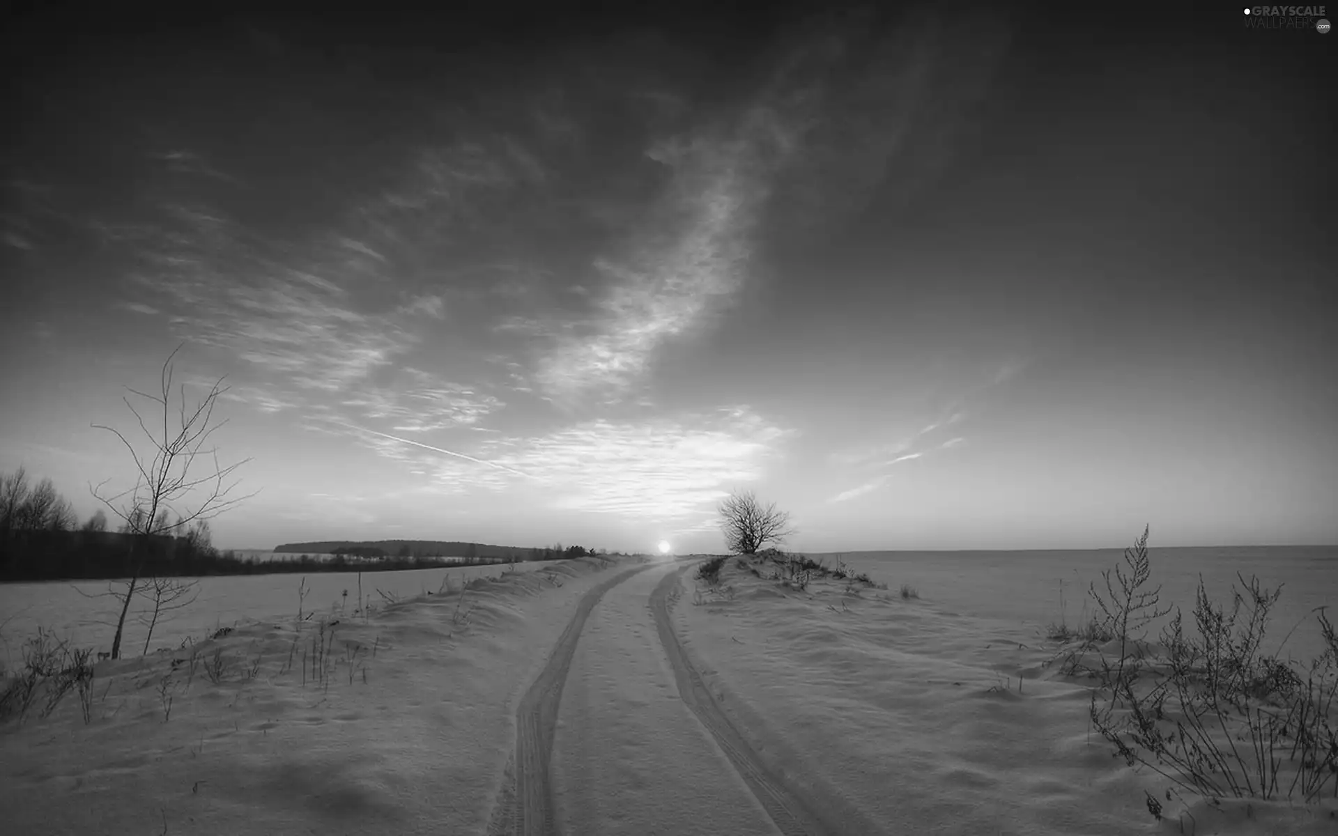 field, west, sun, winter