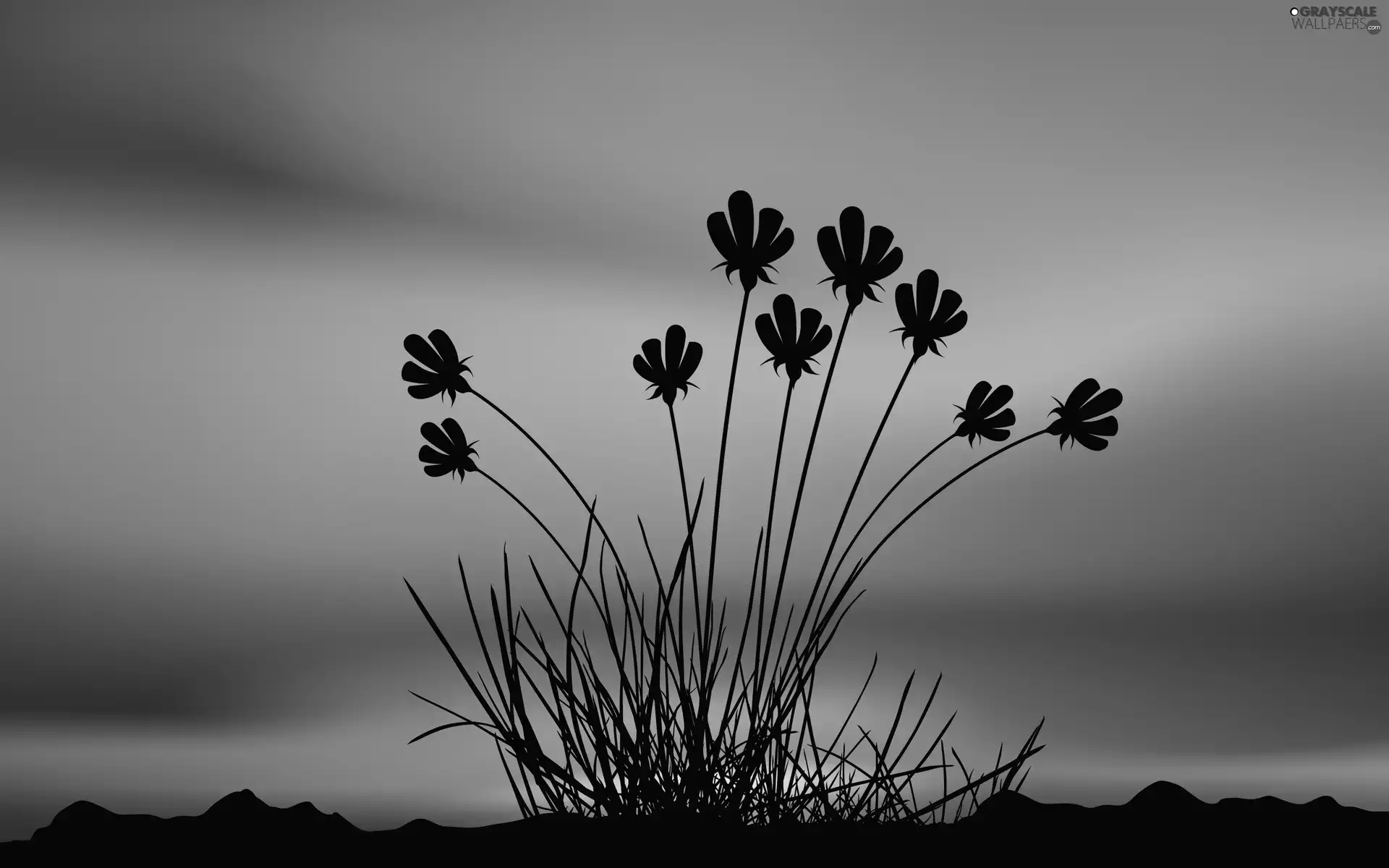 Flowers, west, sun, Mountains