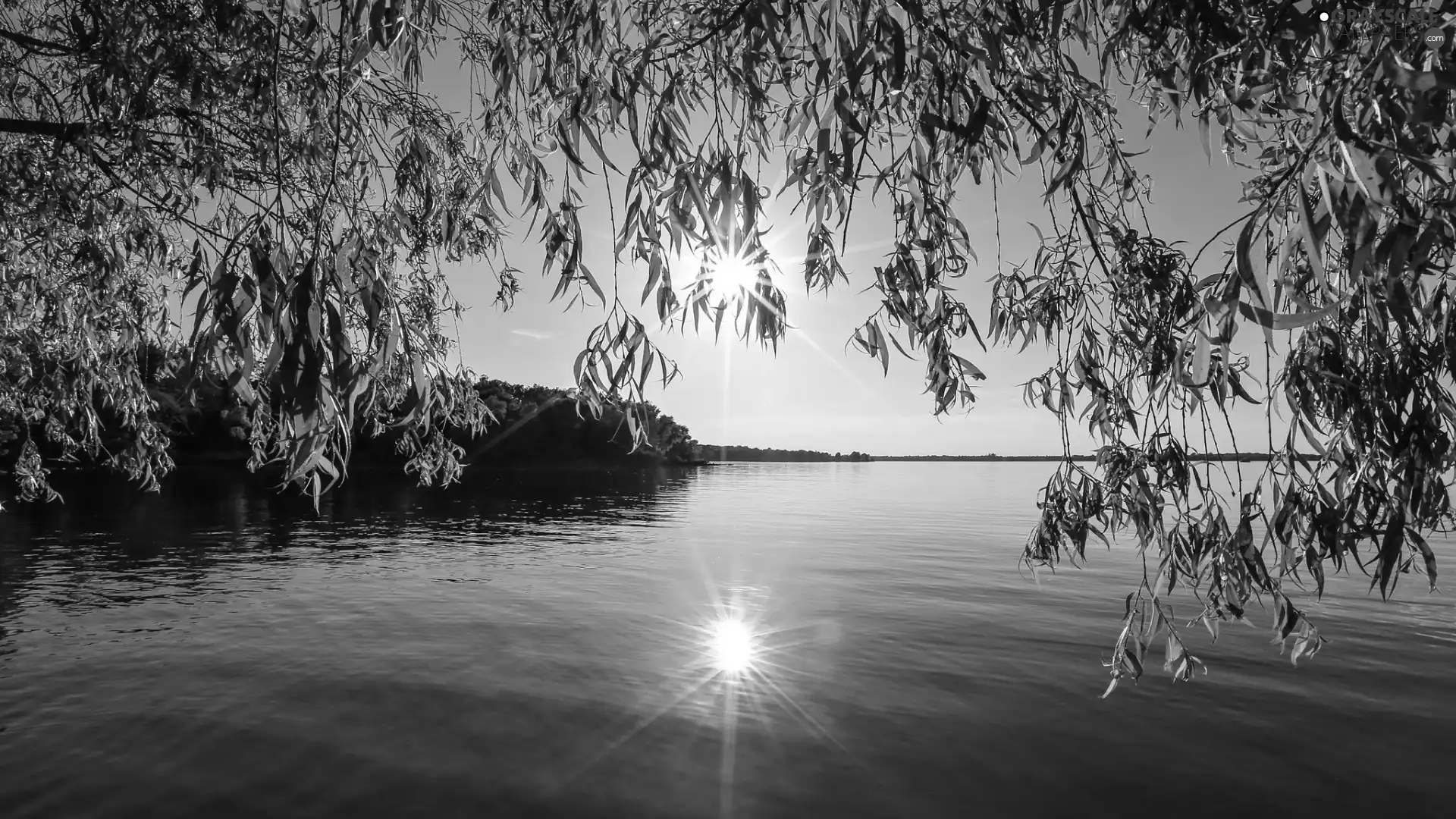 sun, lake, forest