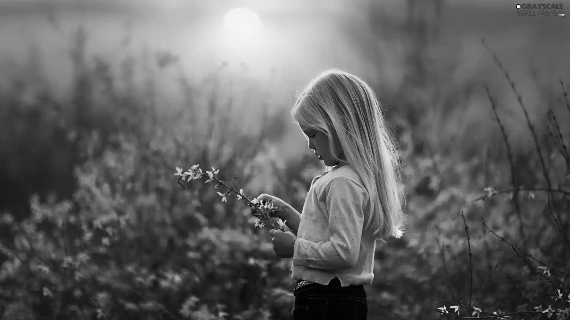 girl, west, sun, Meadow