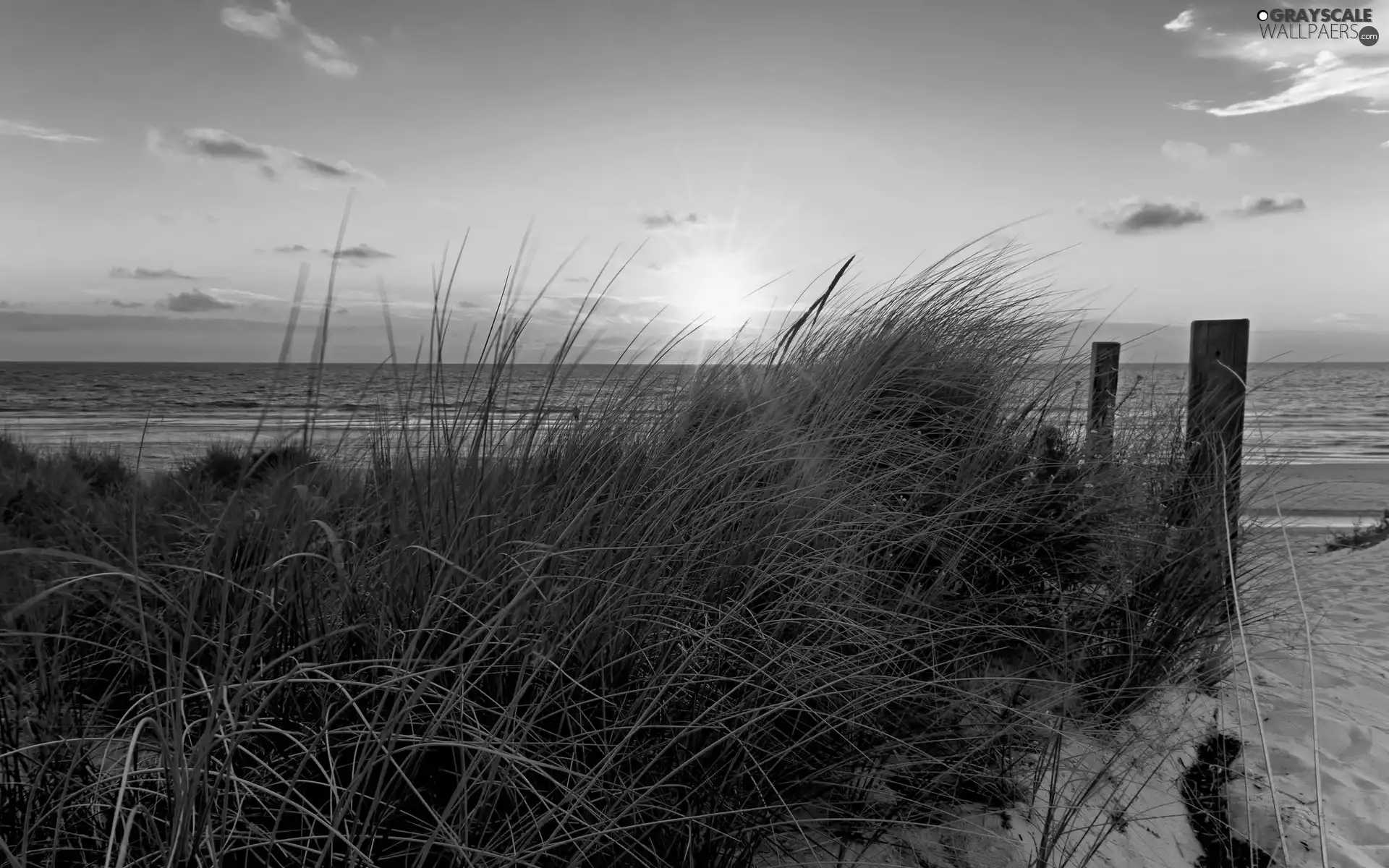 sun, grass, Beaches, rays, sea