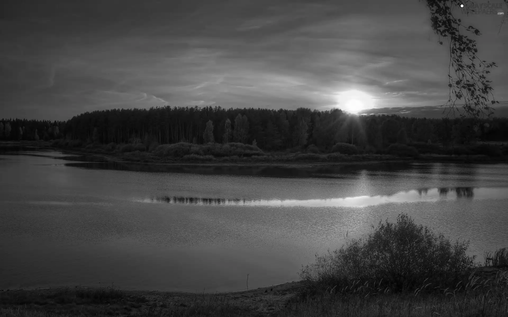 lake, rays, sun, woods