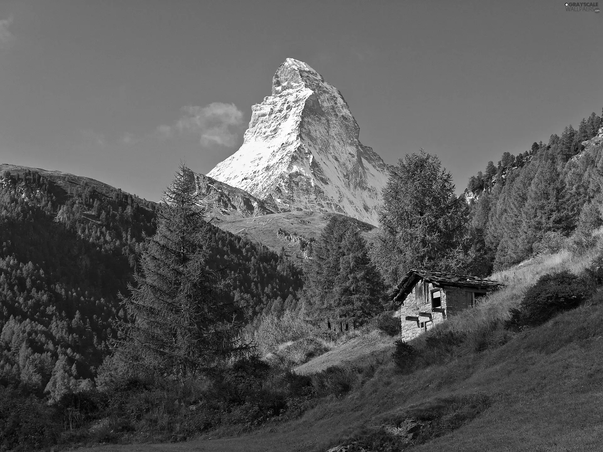 forest, Mountains, cote, Meadow, sun, shadow, luminosity, Matterhorn, mount, flash, ligh