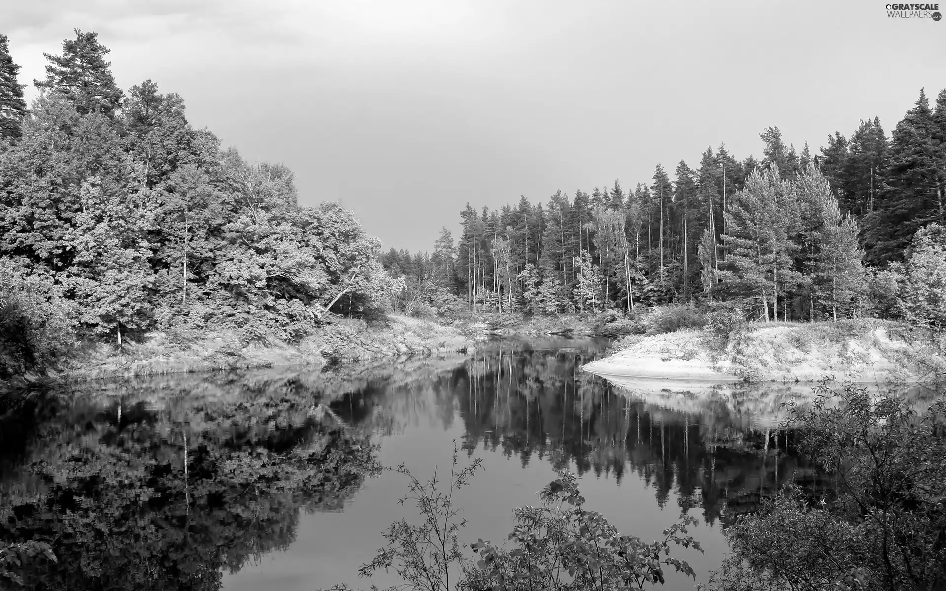 ligh, sun, reflection, flash, shadow, forest, lake, luminosity