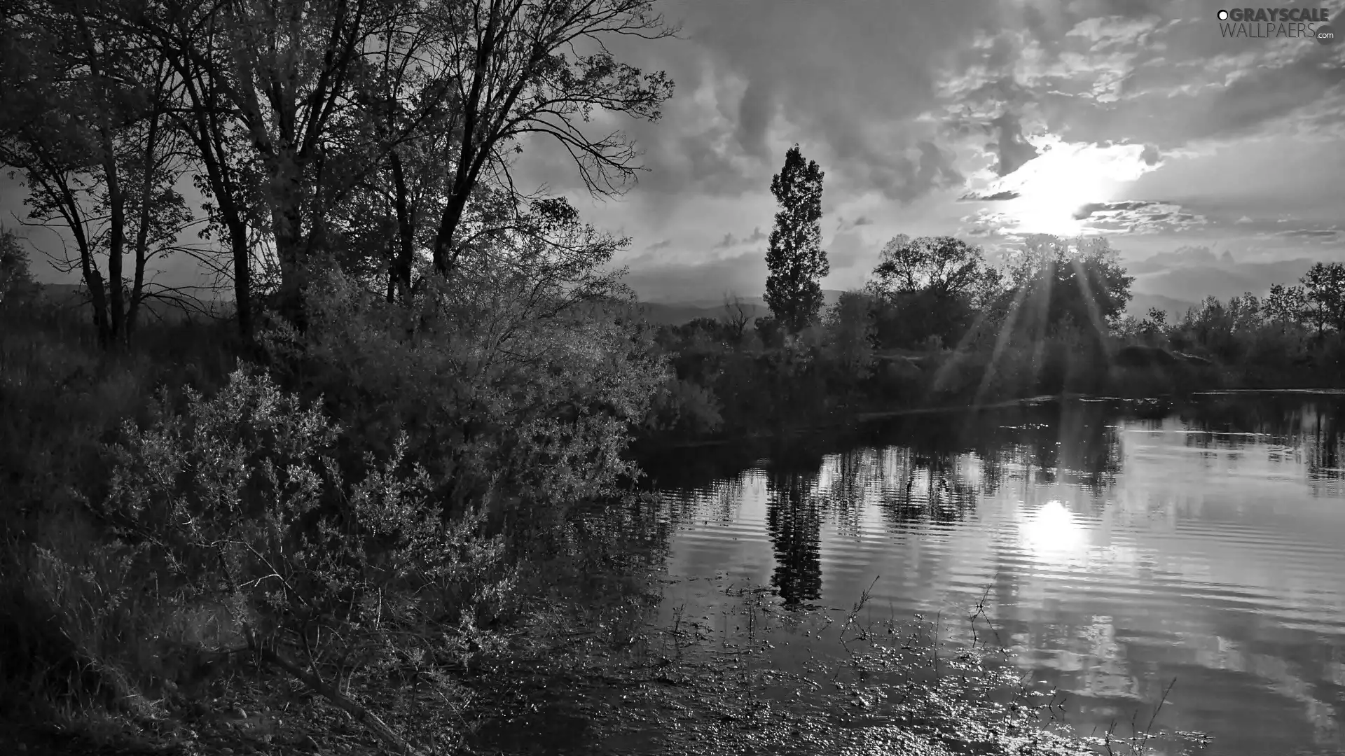 luminosity, lake, ligh, trees, sun, Pond - car, Przebijające, viewes, clouds, flash