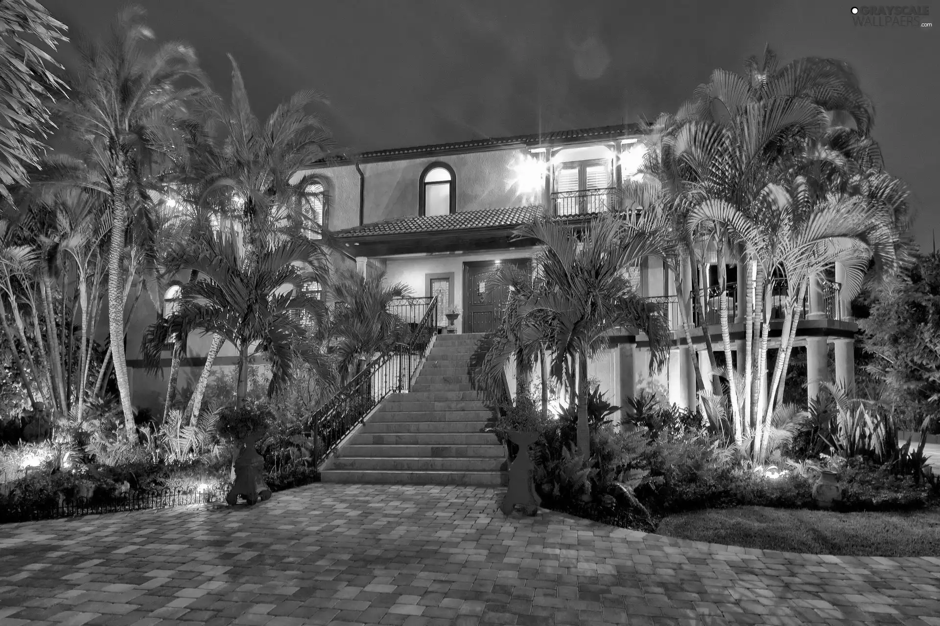 ligh, Palms, flash, Night, house, sun, luminosity