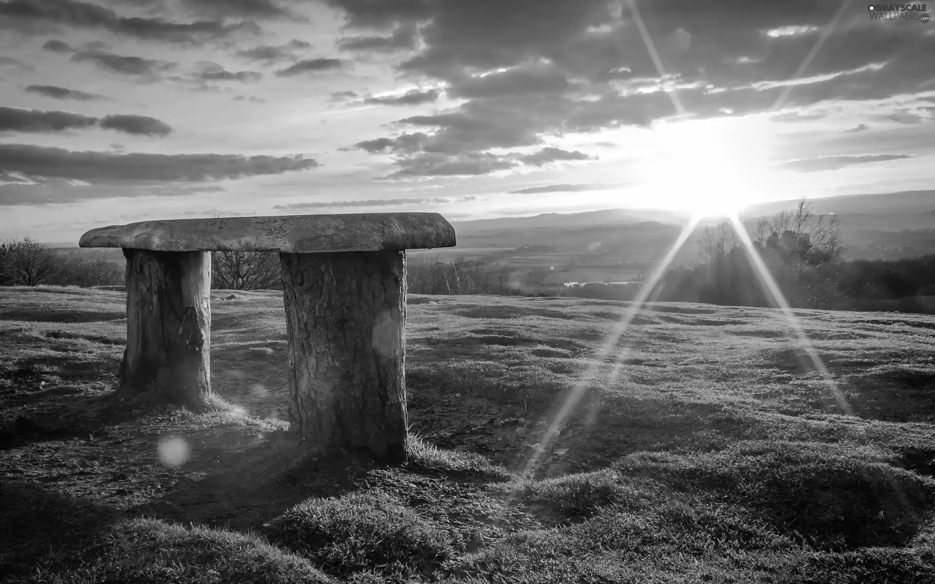 Meadow, In Rays, sun, Bench