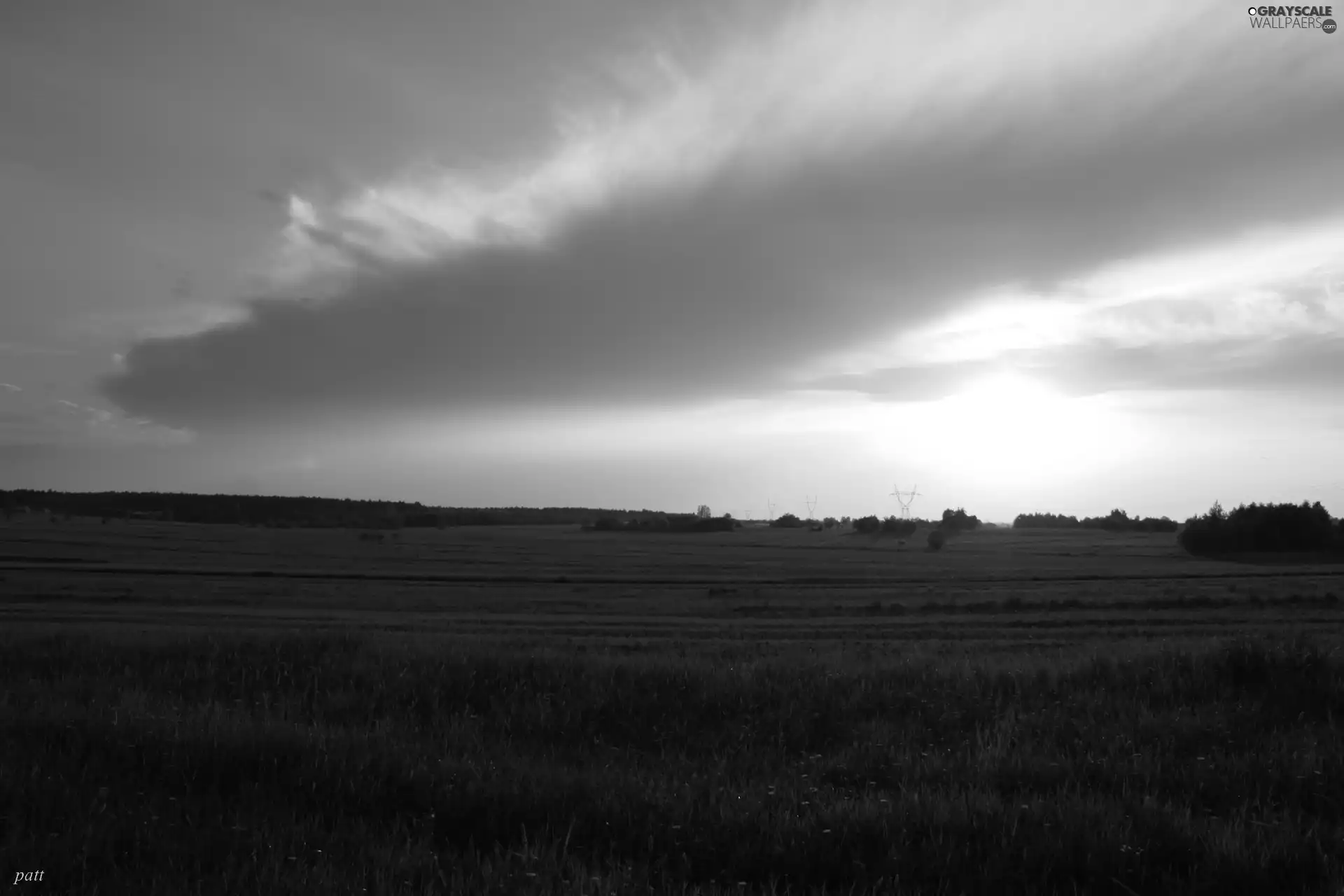 Meadow, west, sun, clouds