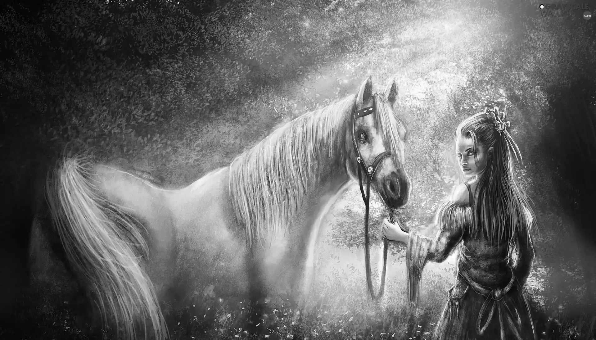 sun, Meadow, Horse, rays, Women