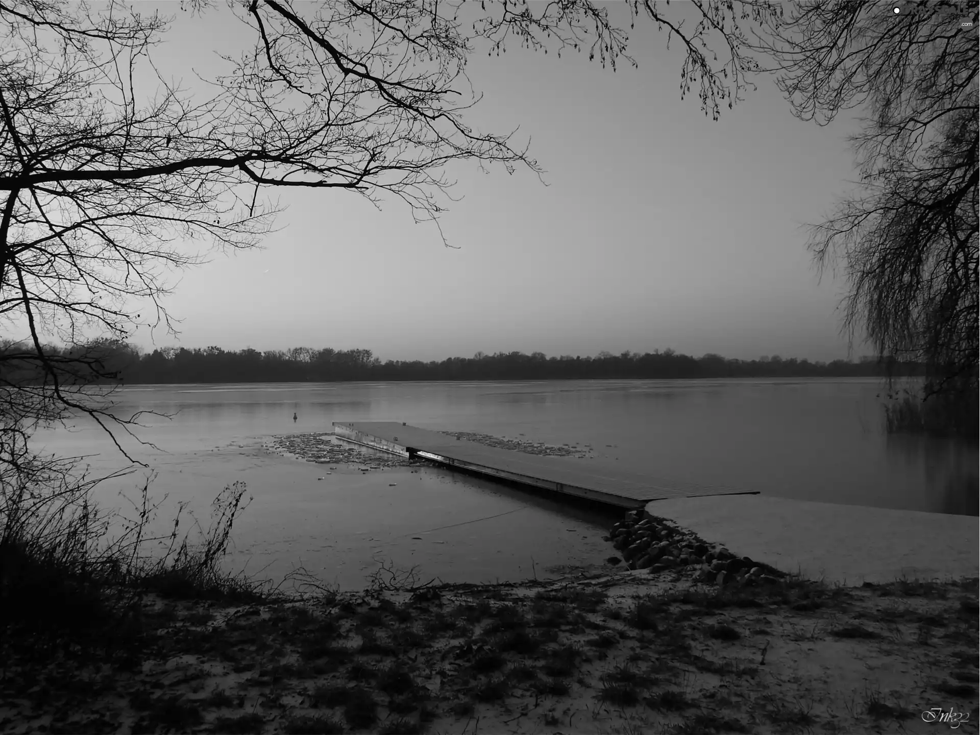 sun, branch pics, Platform, west, lake