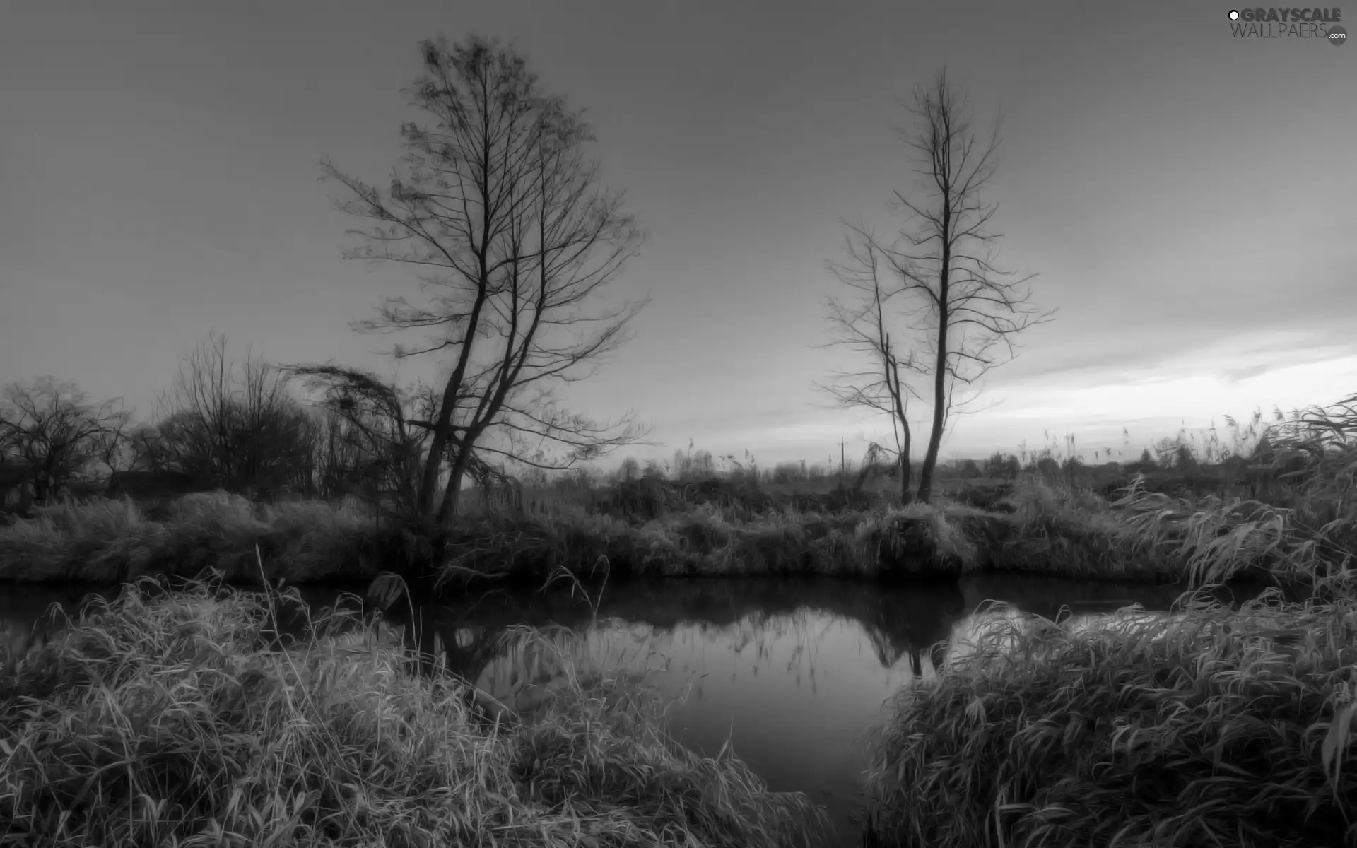 River, east, sun, rushes