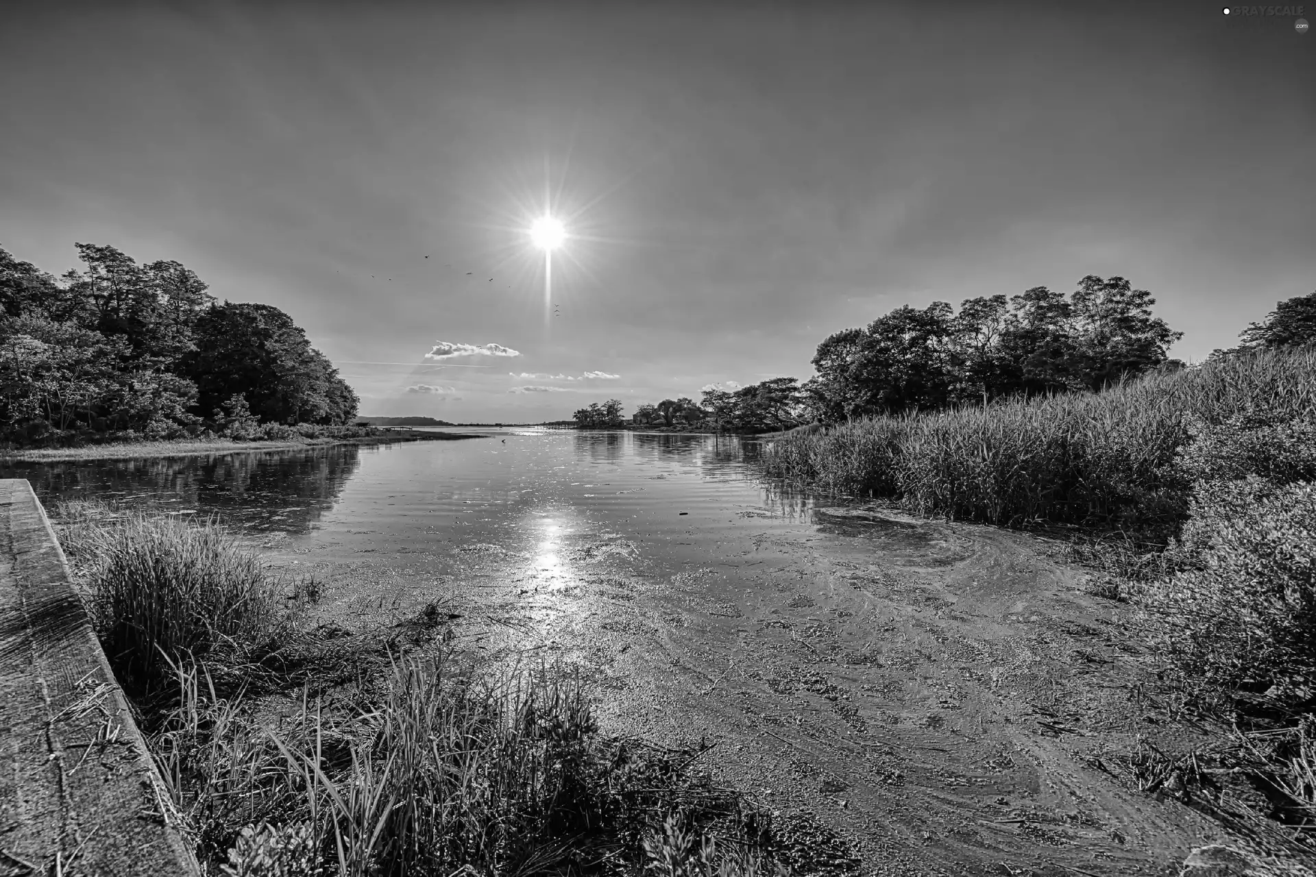 River, rays, sun, summer