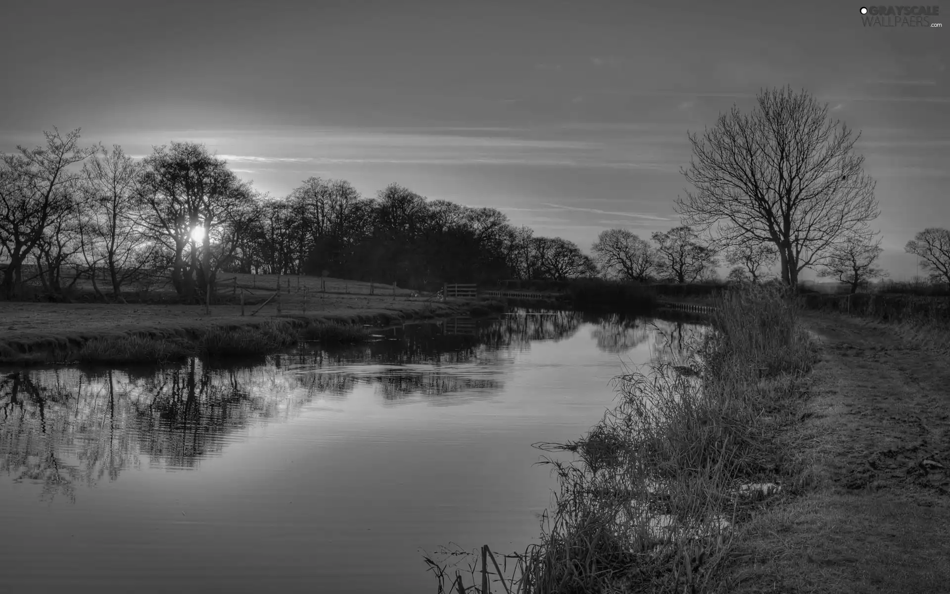 River, west, sun, field