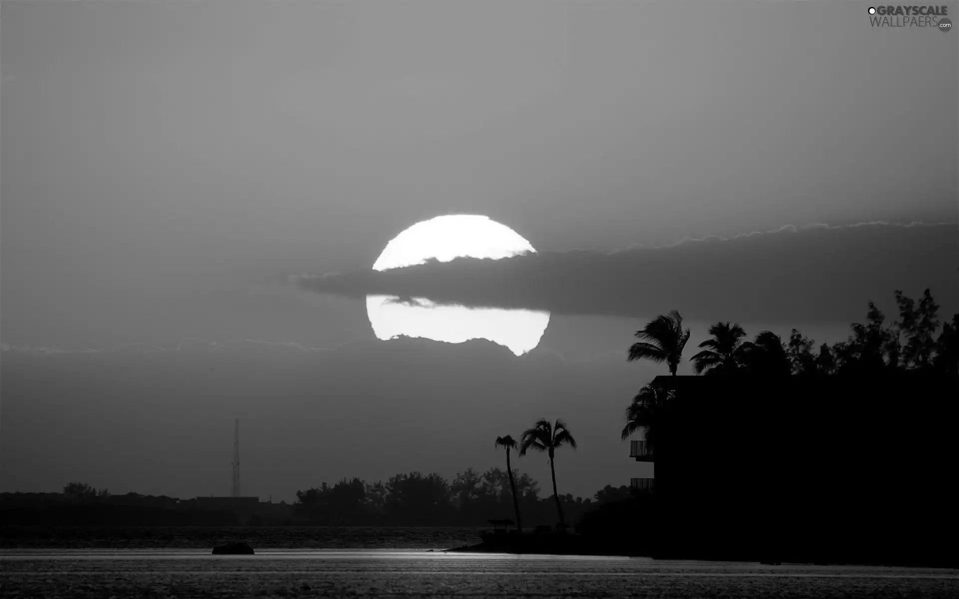 River, west, sun, Palms