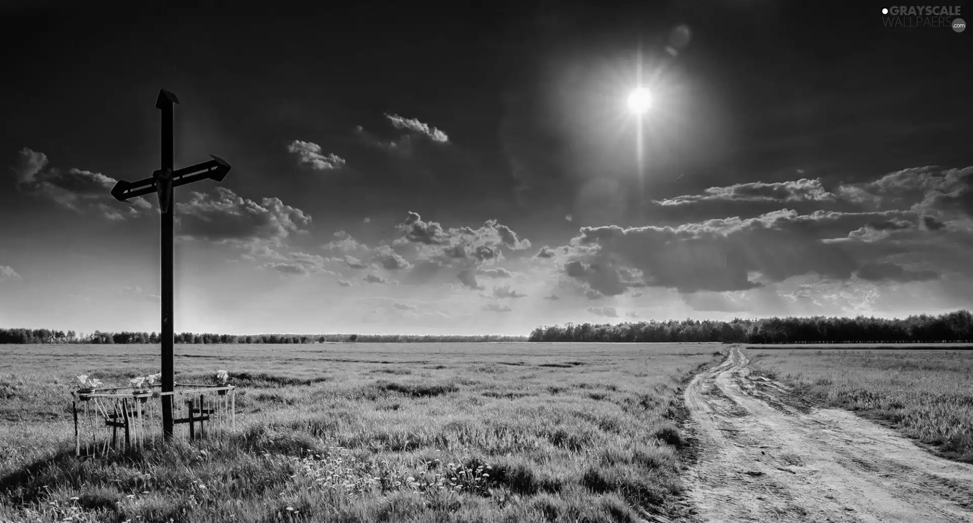 sun, Sky, Way, Meadow, Cross