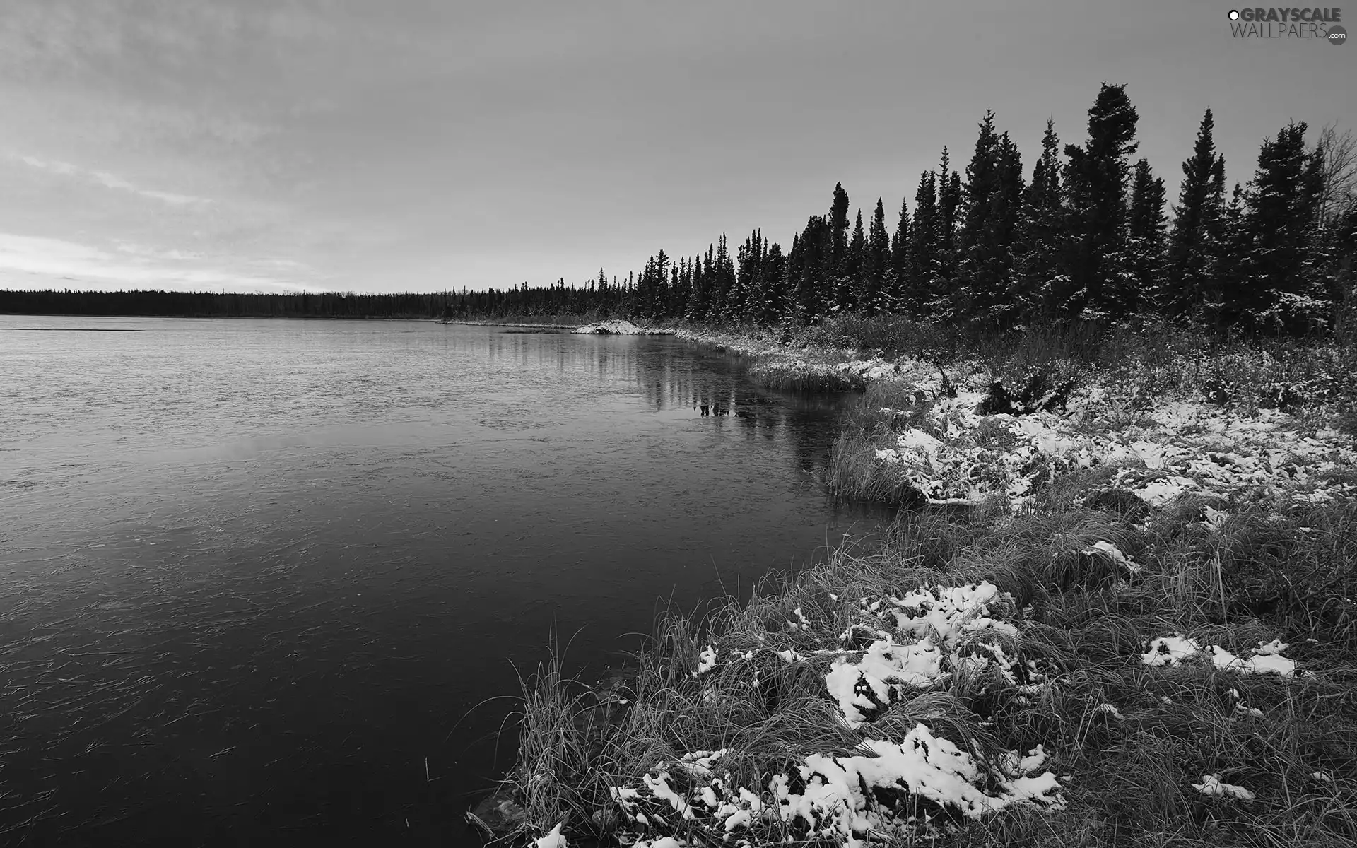 sun, snow, forest, west, lake