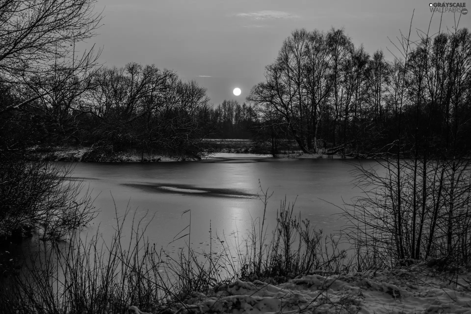 viewes, lake, sun, snow, west, trees