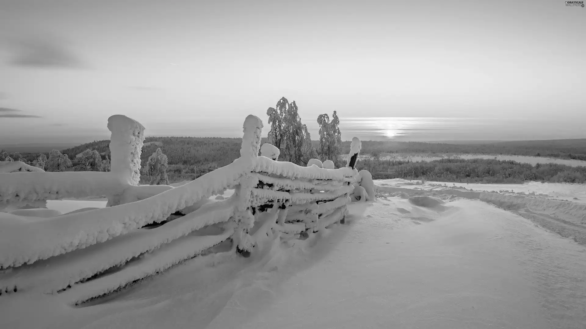 Fance, trees, sun, snow, west, viewes