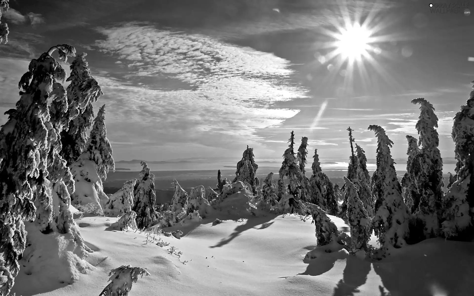sun, winter, snow