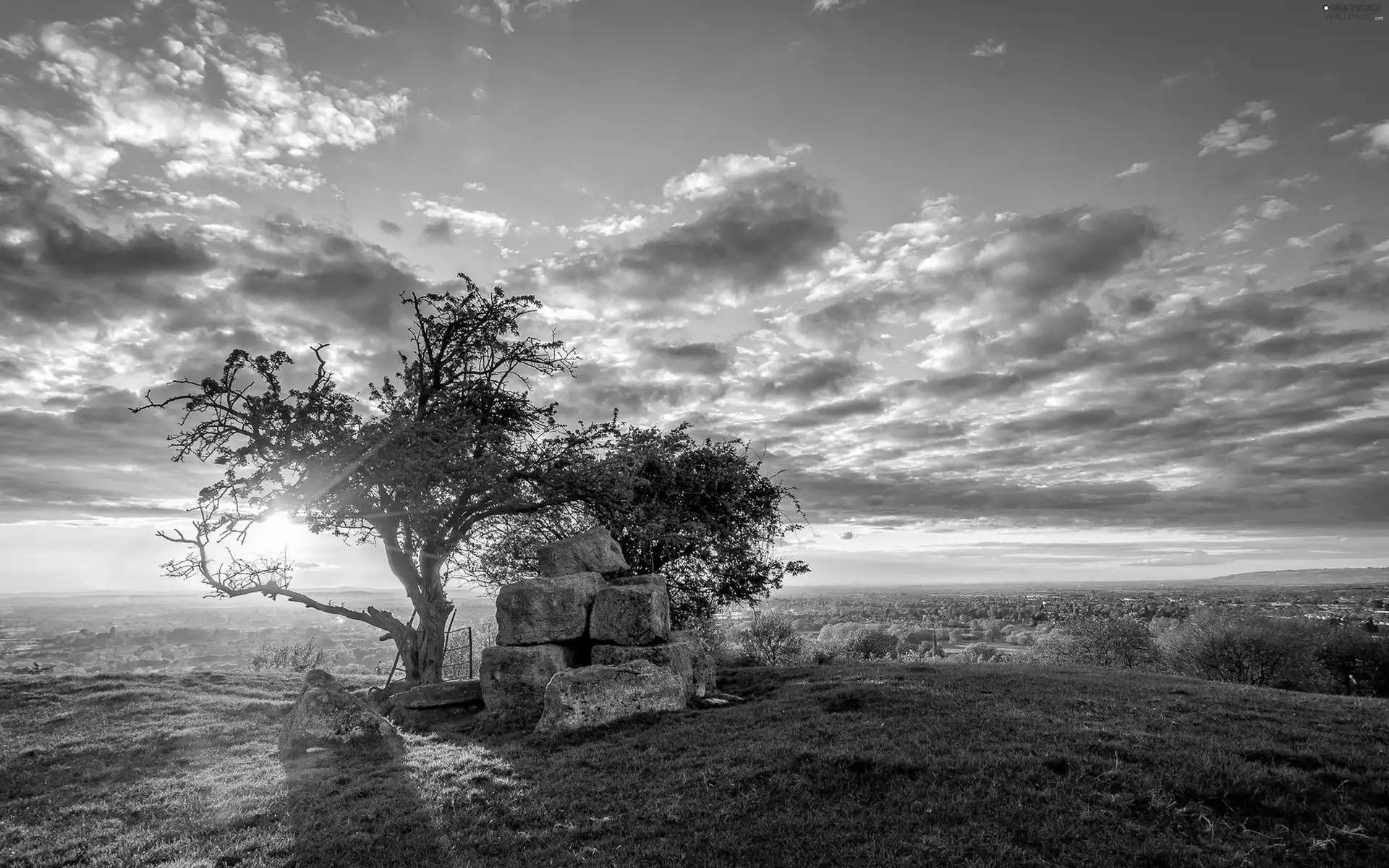 sun, Stones, clouds, trees, Sky