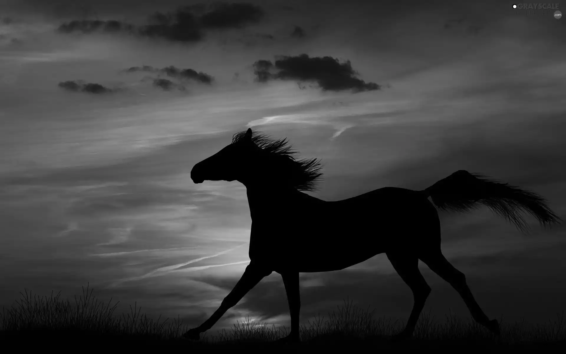 sun, Horse, west