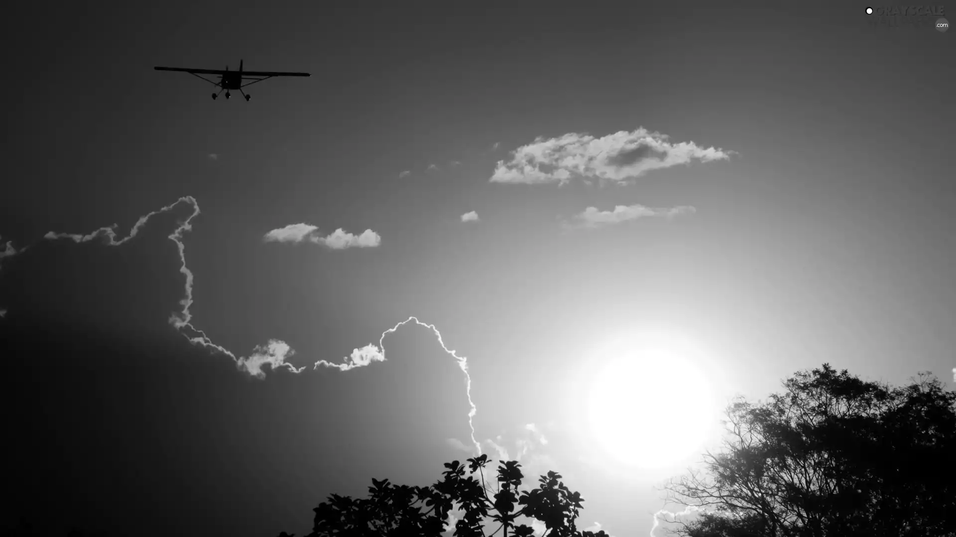 sun, plane, west