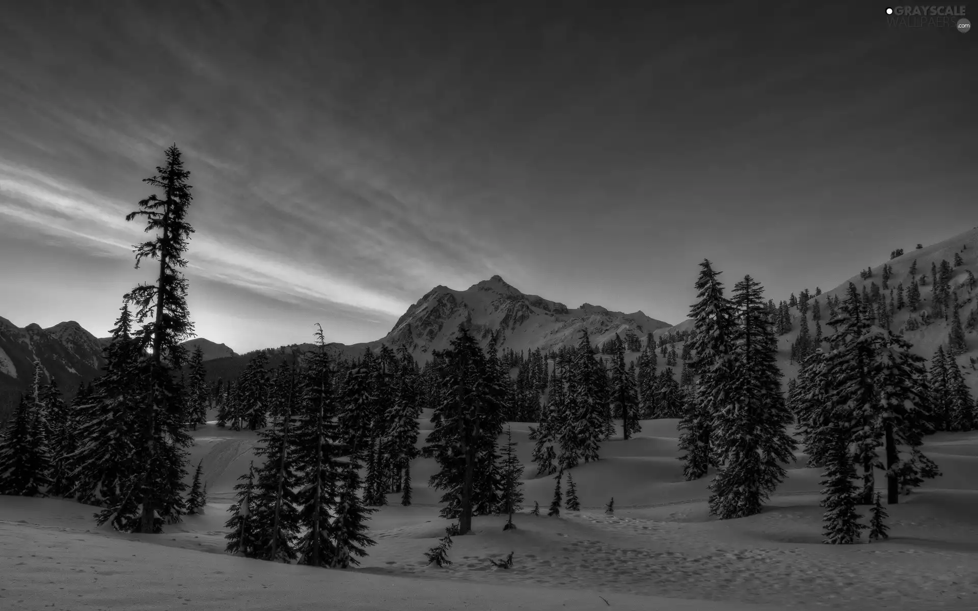 sun, winter, woods, west, Mountains