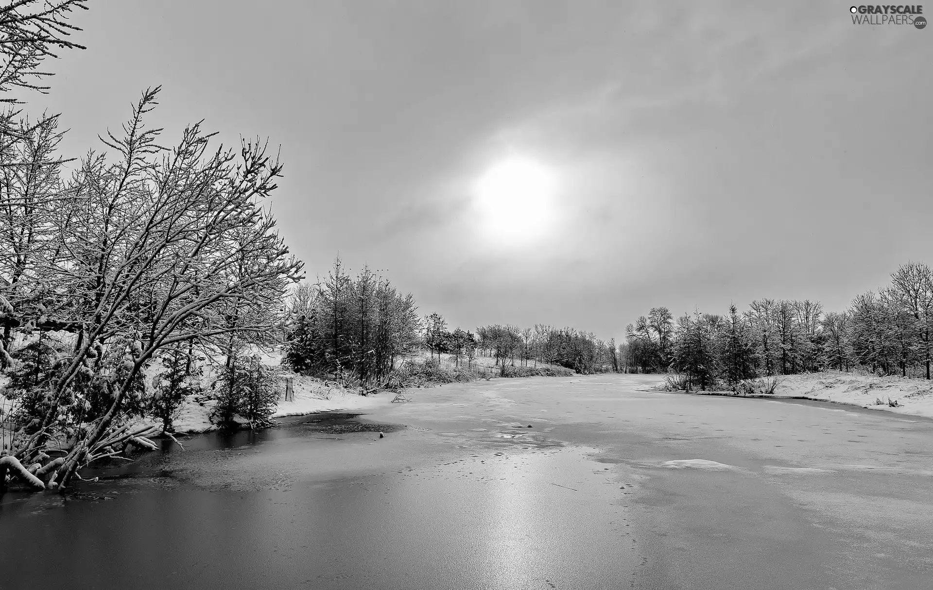 River, trees, sun, winter, Przebijające, viewes
