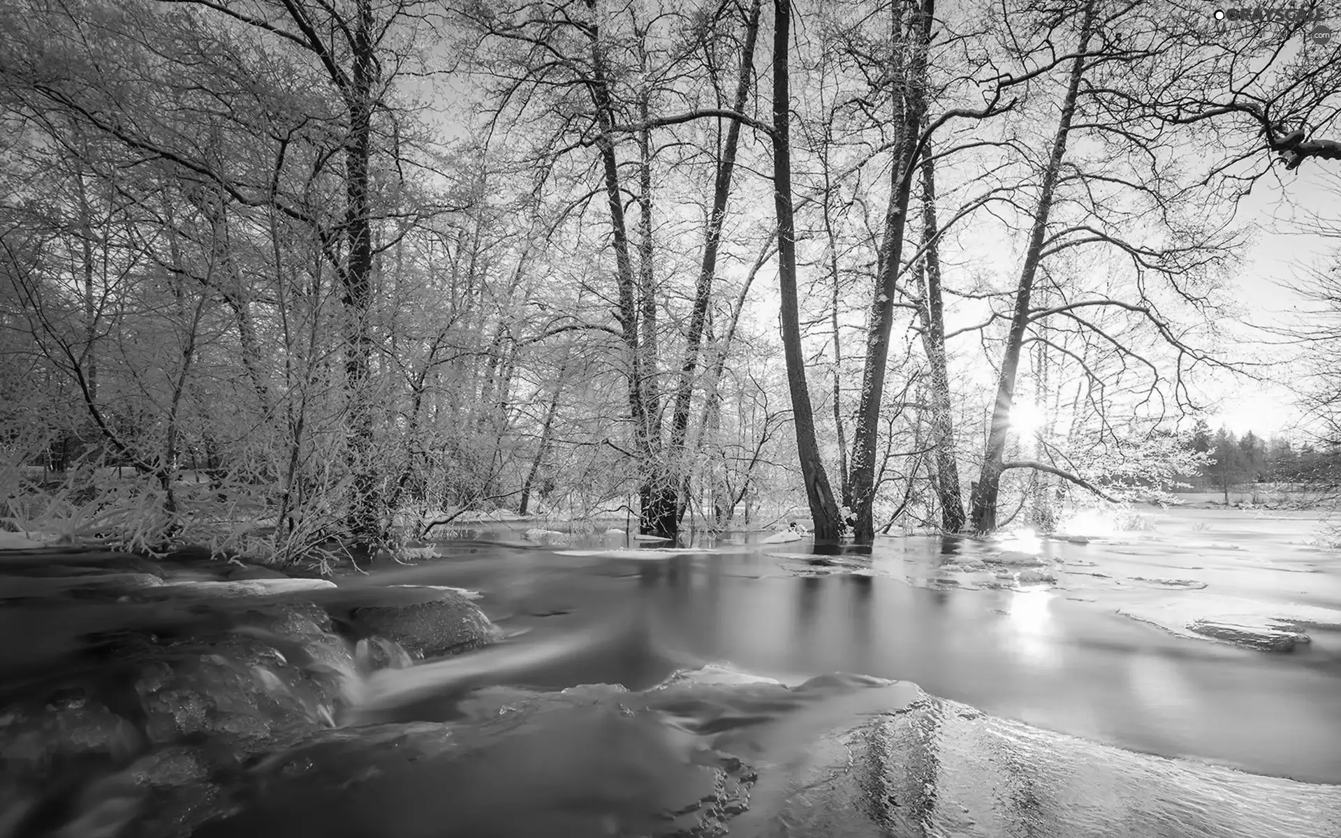 viewes, River, sun, winter, rays, trees