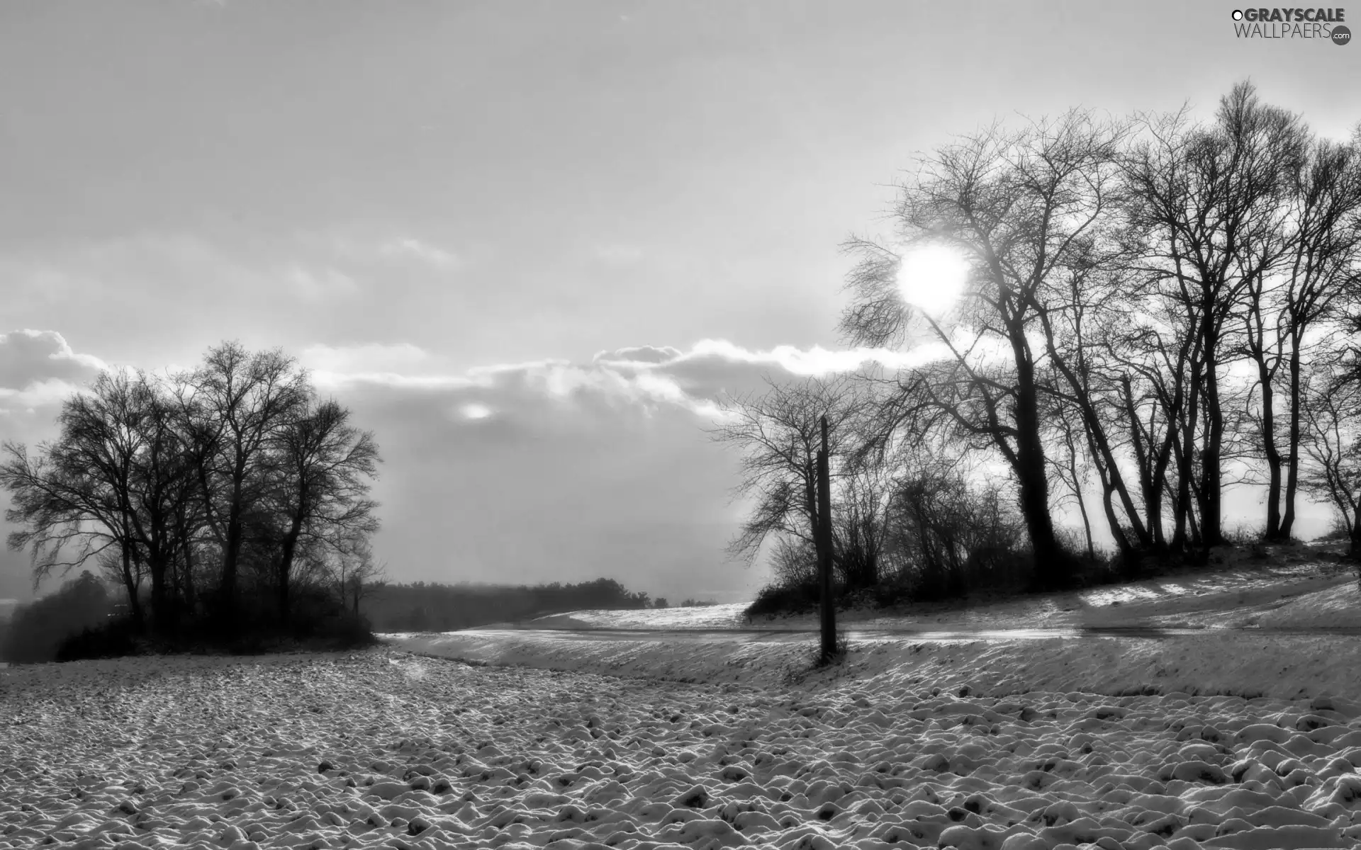 woods, Way, sun, winter, rays, field