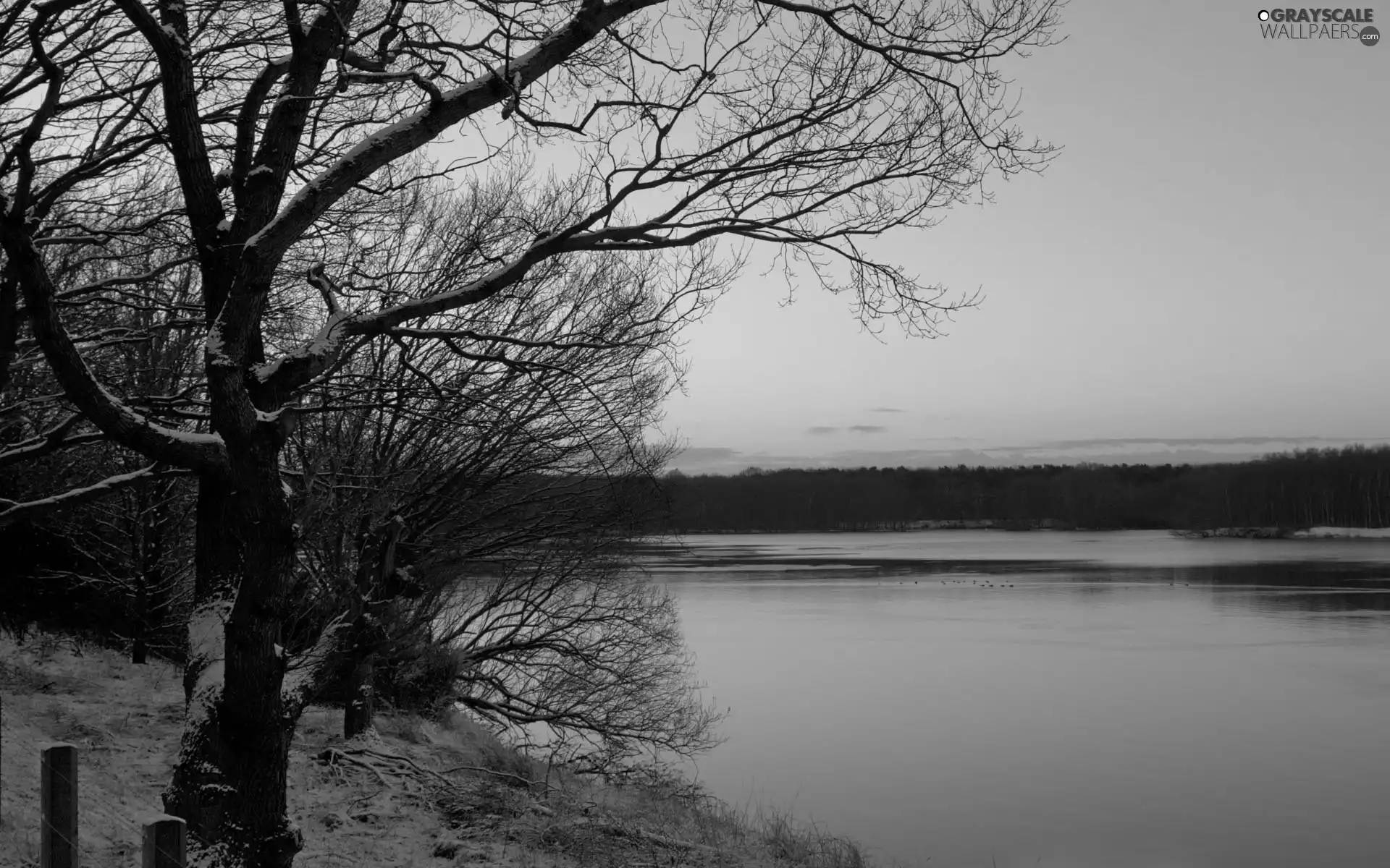 sun, winter, woods, west, River