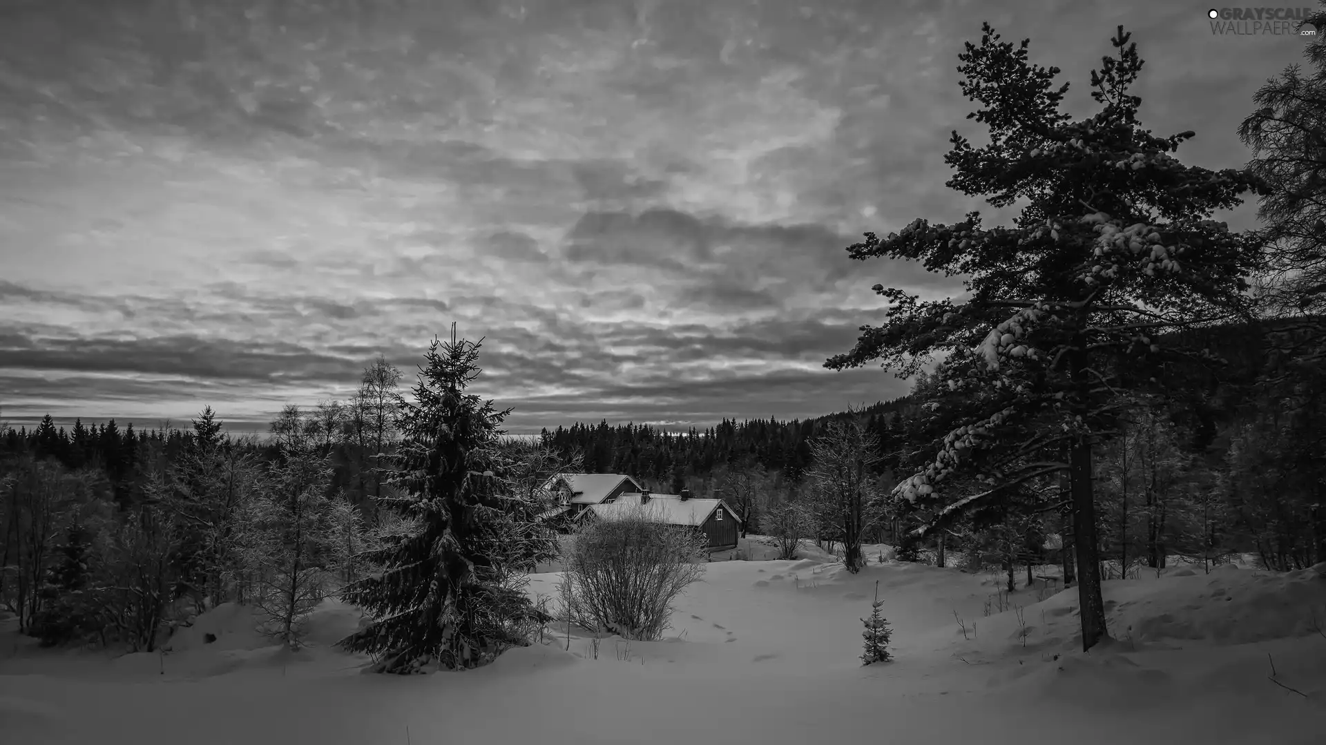 buildings, Mountains, sun, winter, west, woods