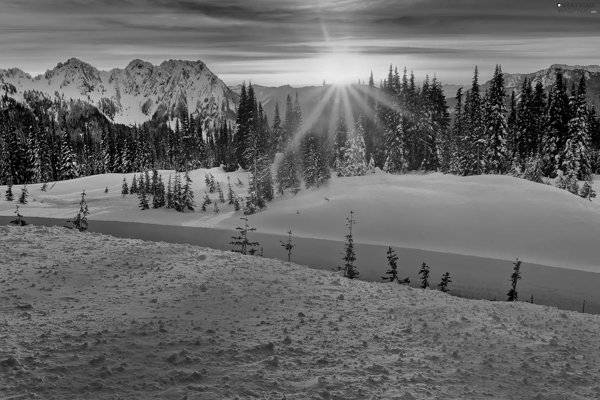 viewes, Mountains, sun, winter, west, trees