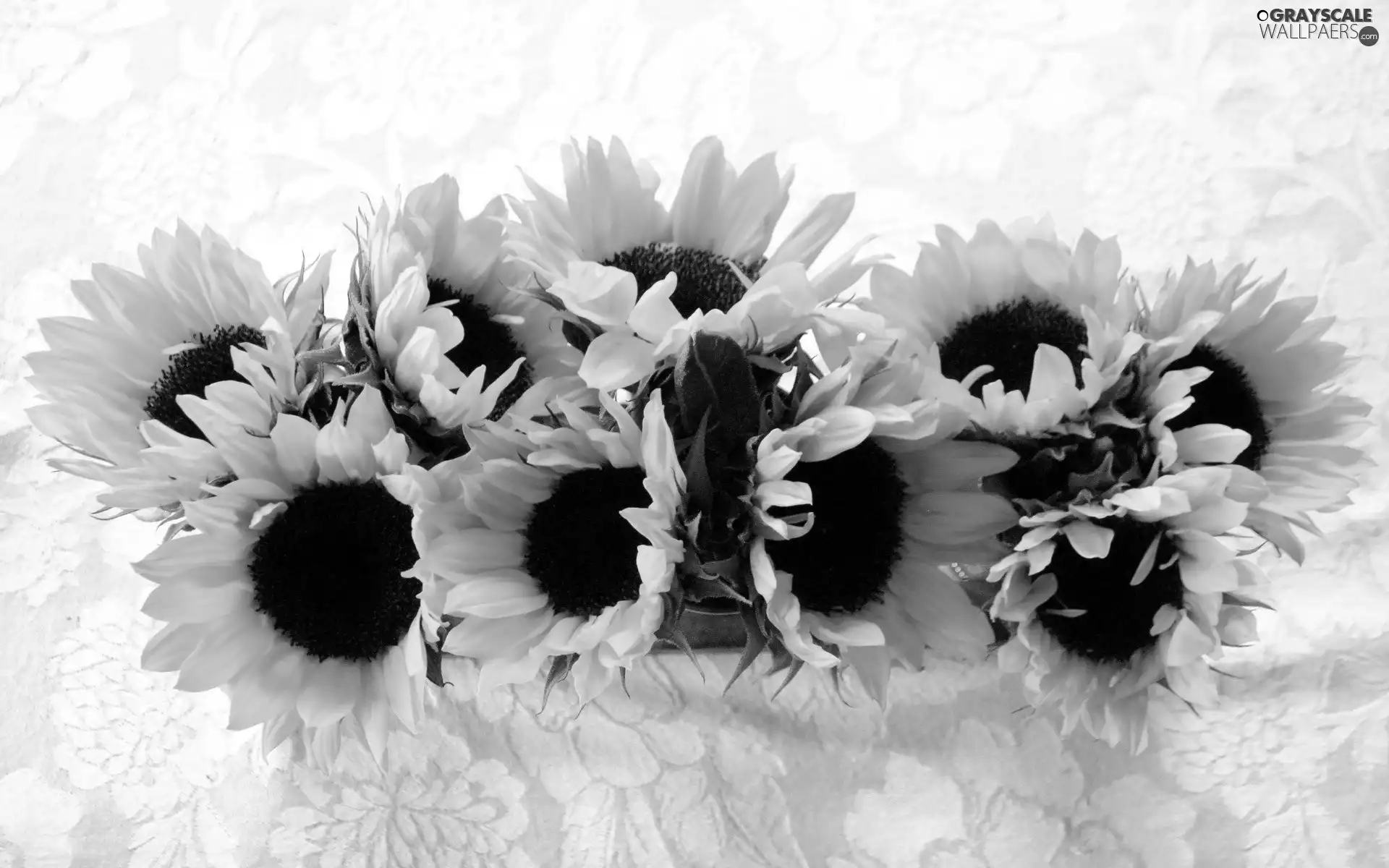 bouquet, sunflowers