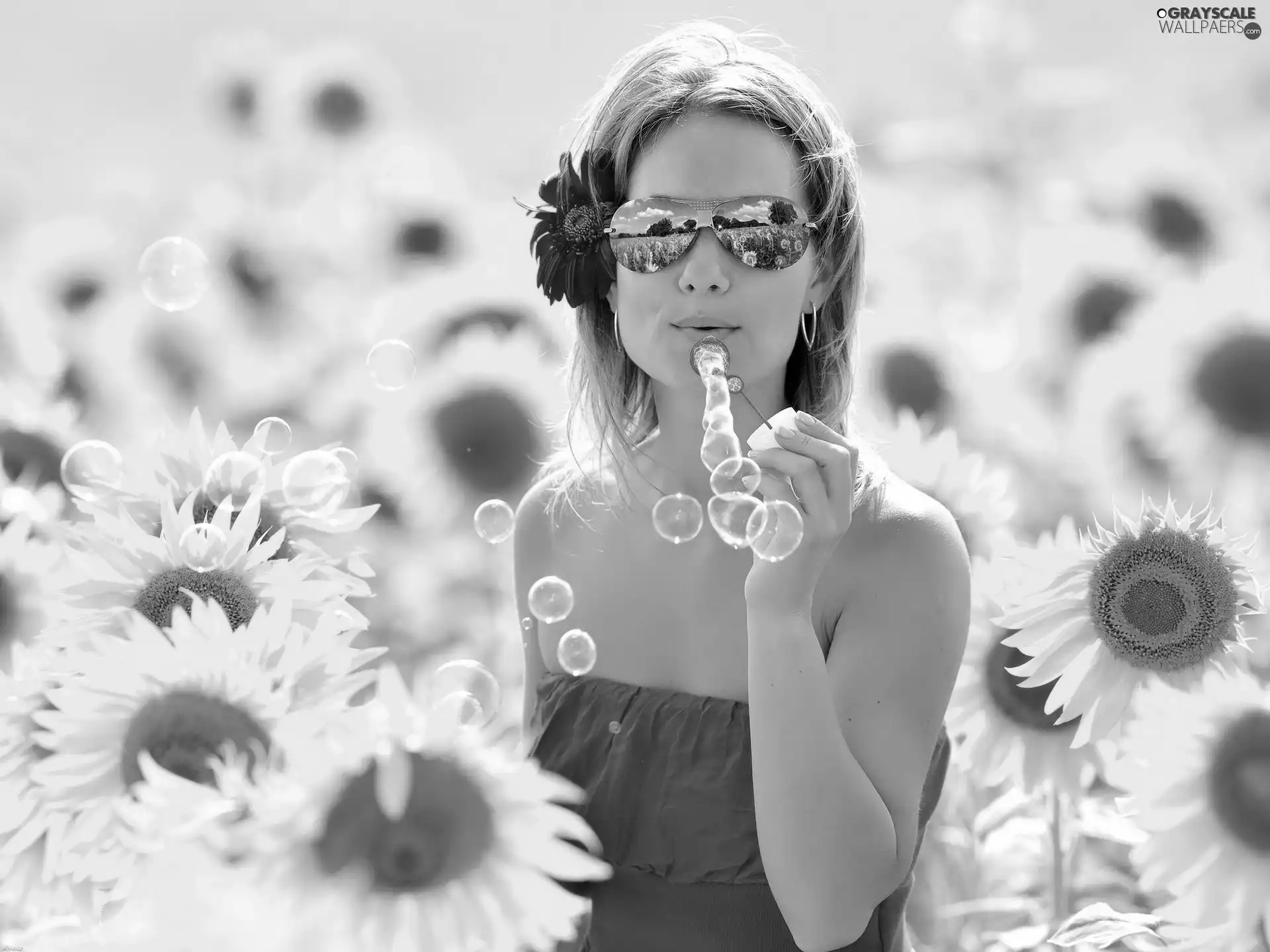 Women, Field, sunflowers, interesting eyes