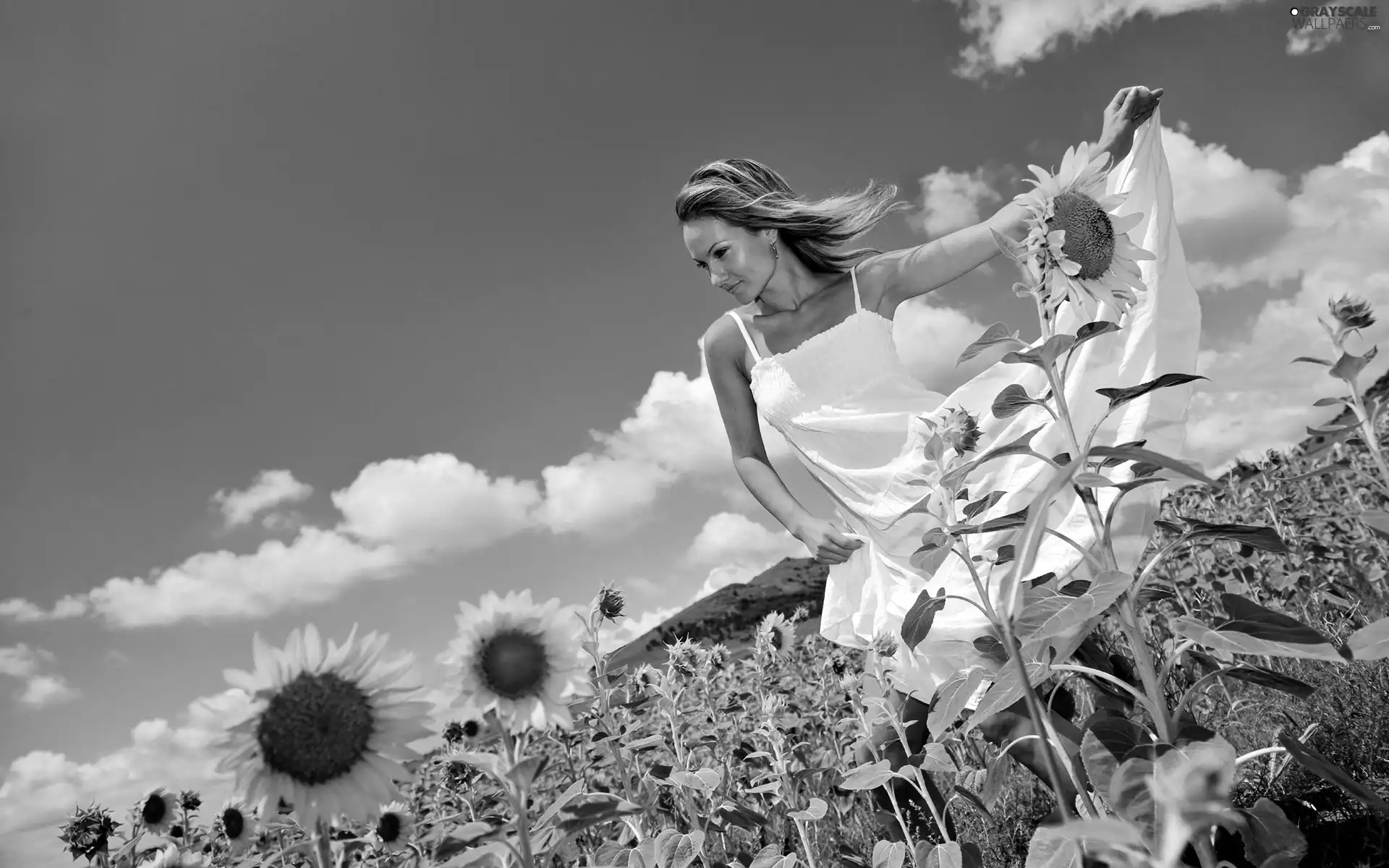 young, in the field, sunflowers, Women