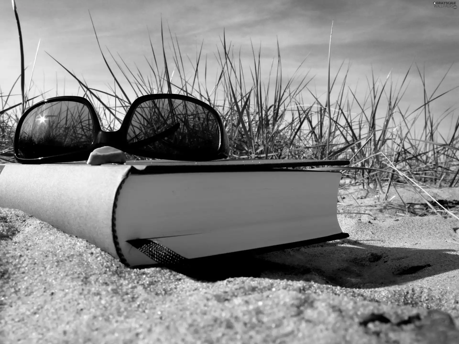 Glasses, Beaches, Book