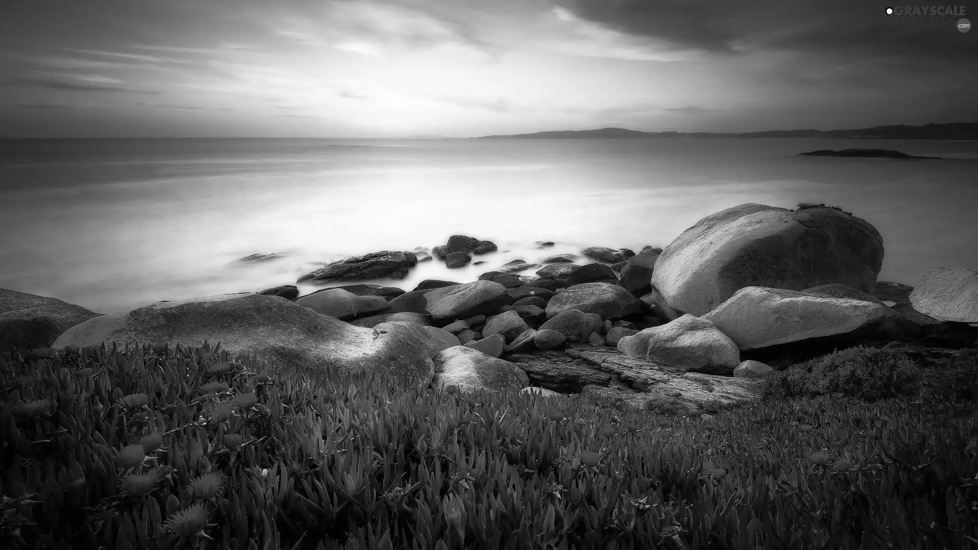 Flowers, Sunrise, coast, Stones, sea